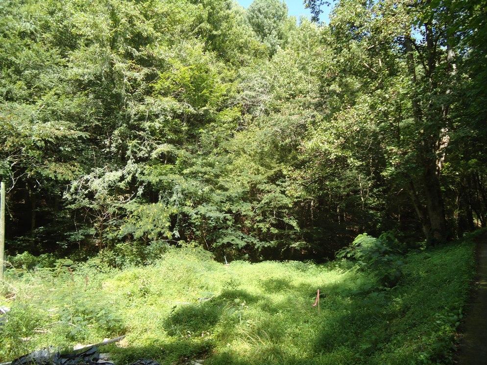 1-2 Laurel Creek Road Sevierville, TN 37876 - Photo 1 of 4 DSC08417