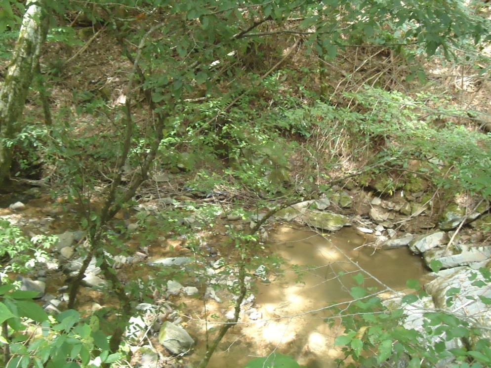 1-2 Laurel Creek Road Sevierville, TN 37876 - Photo 3 of 4 DSC08419