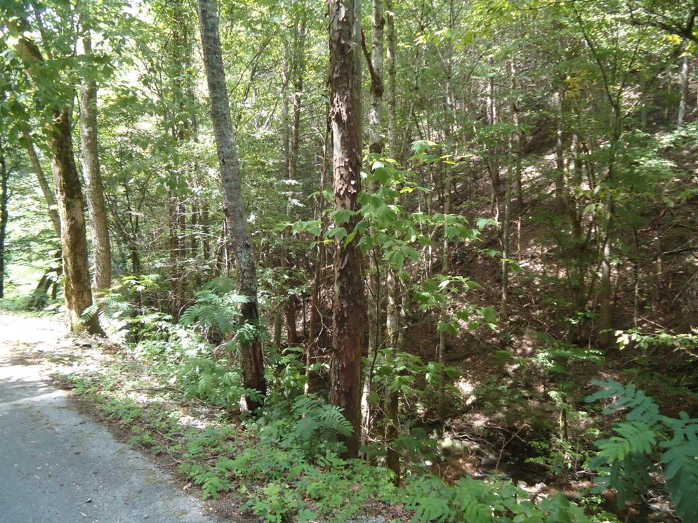 1-2 Laurel Creek Road Sevierville, TN 37876 - Photo 4 of 4 DSC08422