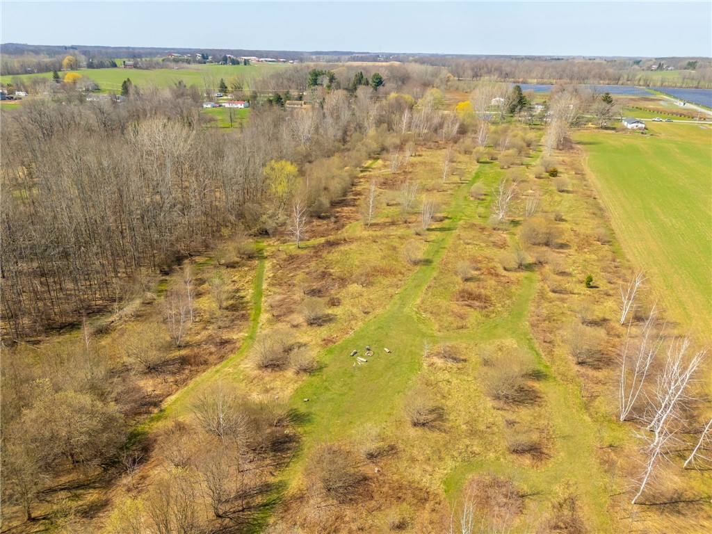 3859 Gaines Basin Road Albion, NY 14411 - Photo 49 of 50