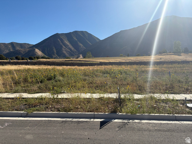 1549 South 920 East, Unit 64 Salem, UT 84653 - Photo 1 of 3 Expansive lot featuring mountain backdrop, natural landscaping, and established curb and gutter infrastructure