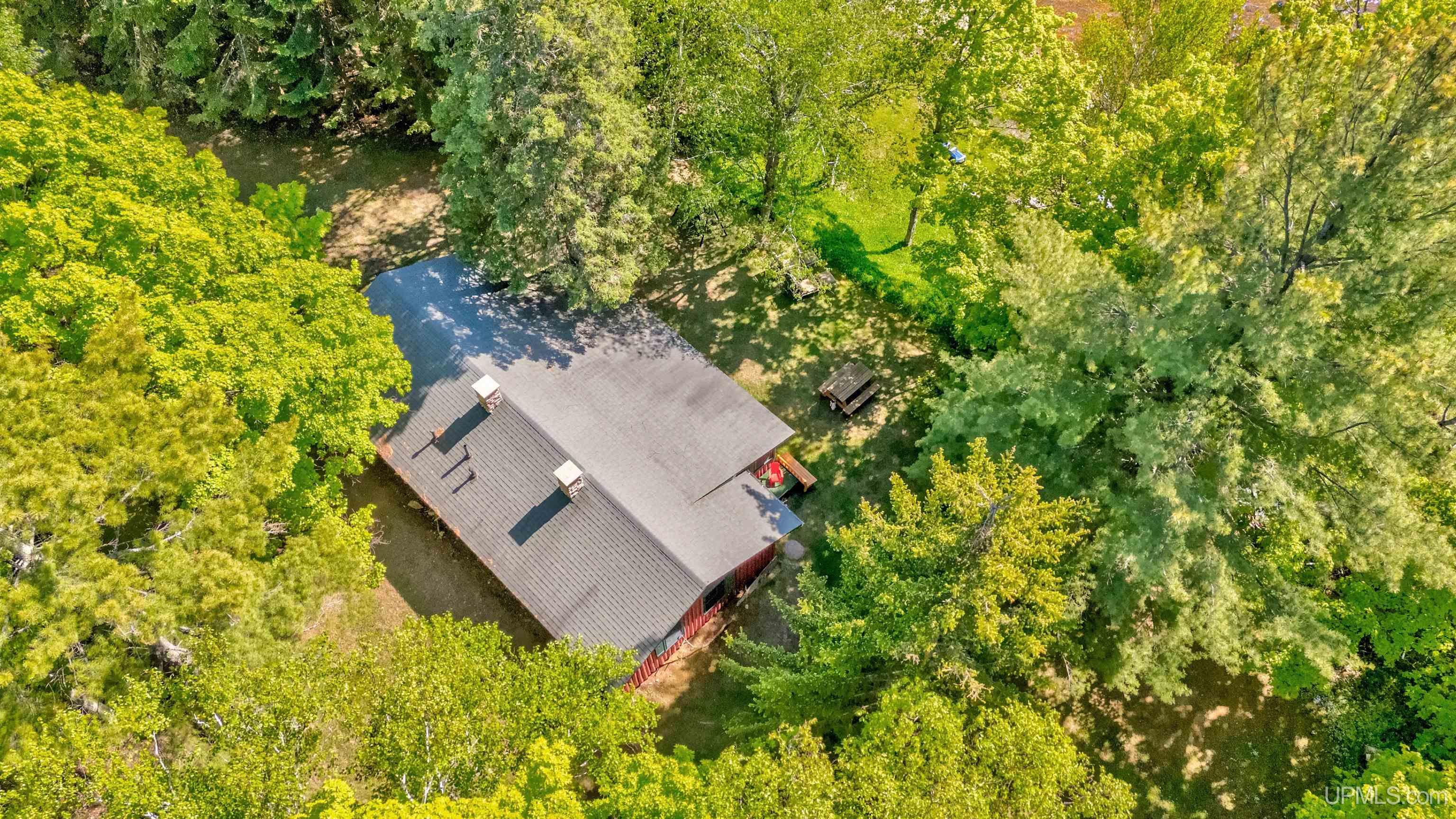 W17351 Deshetler Road Gould City, MI 49838 - Photo 46 of 50