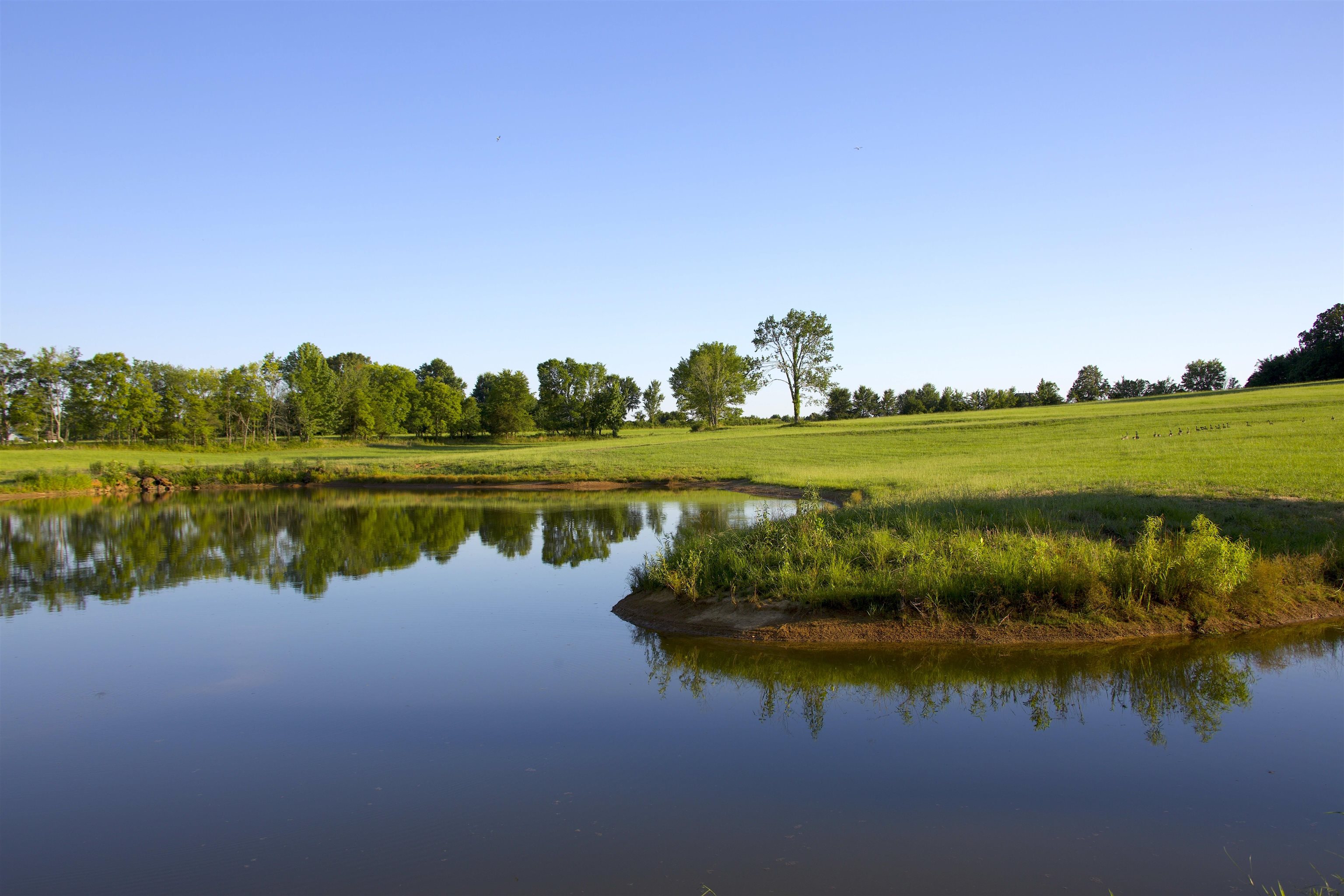 Water view