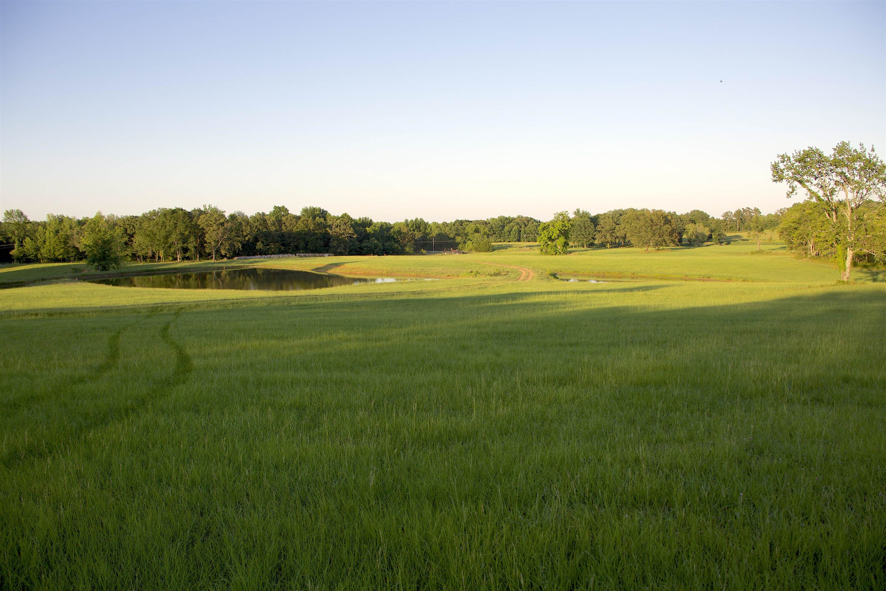 2143 South Slayden Road Lamar, MS 38642 - Photo 31 of 34 View of landscape with a water view