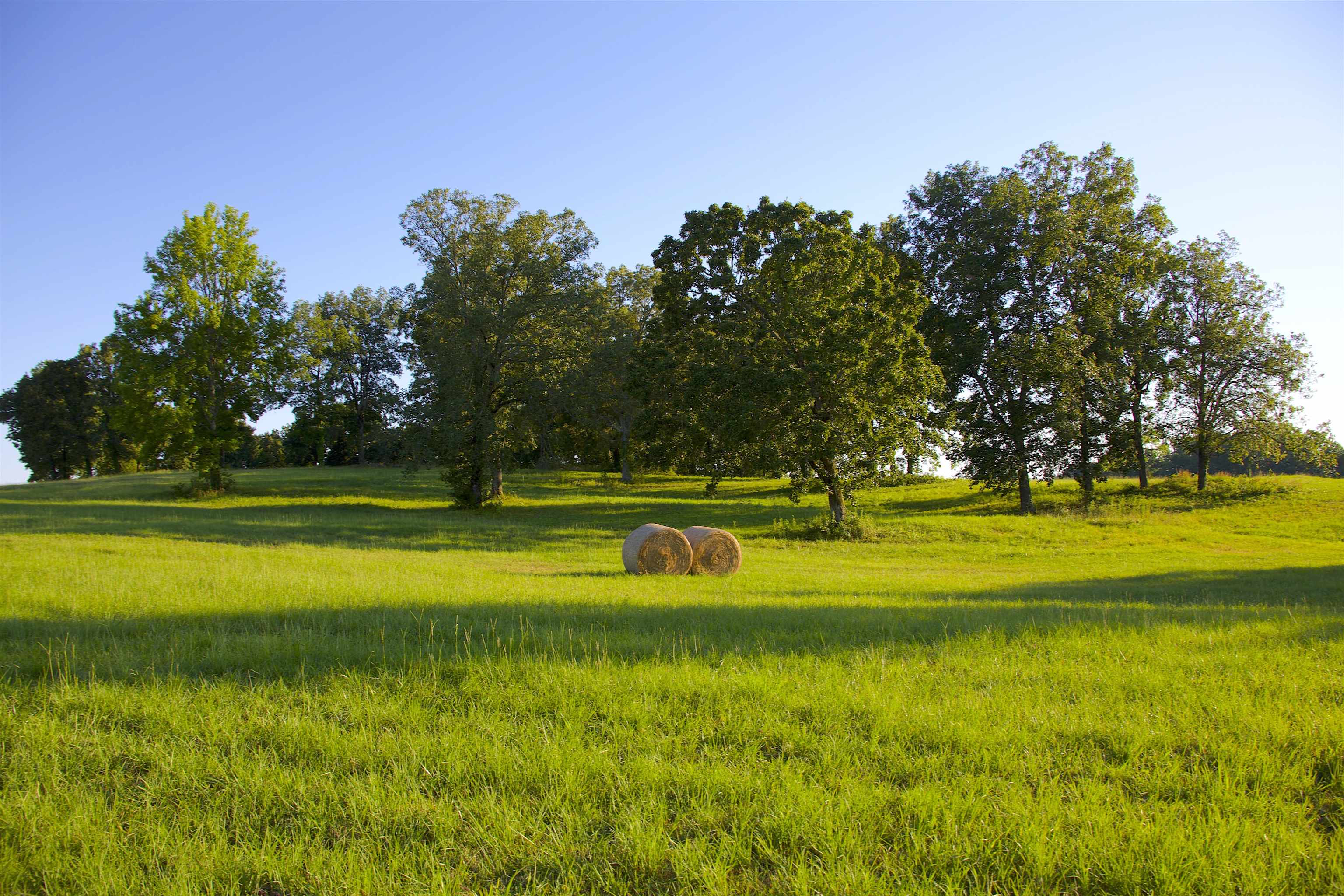 Surrounding community with a lawn