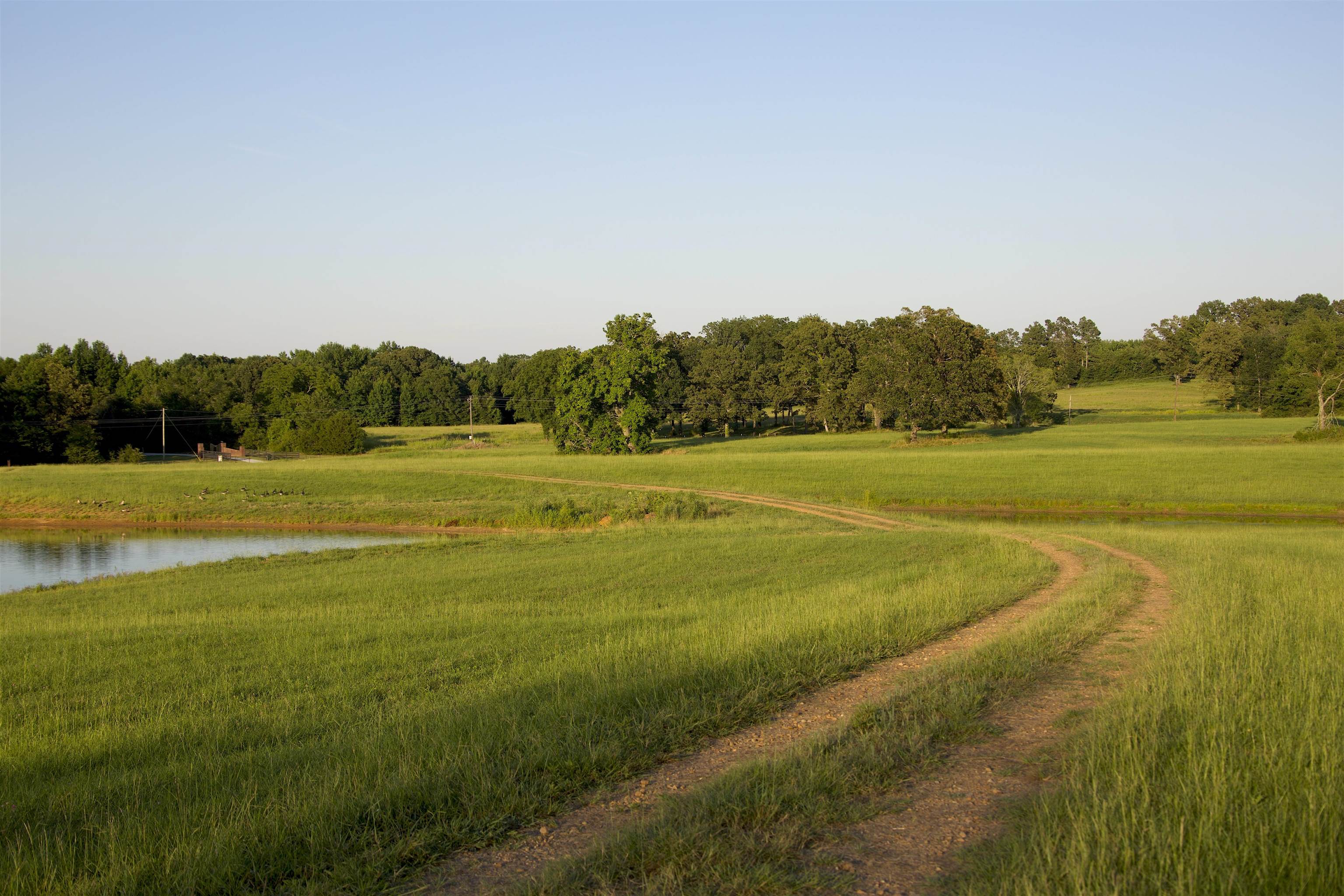 2143 South Slayden Road Lamar, MS 38642 - Photo 10 of 34 View of surrounding community