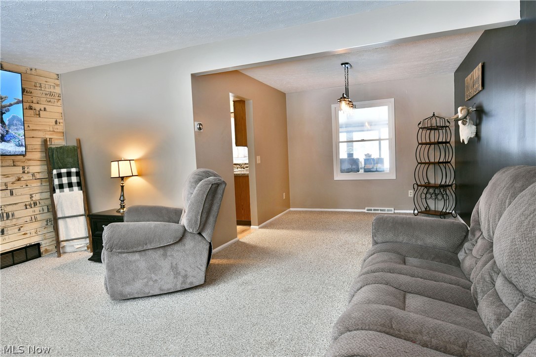 4251 Wayne Road Mantua, OH 44255 - Photo 7 of 34 Living room featuring carpet, wooden walls, a textured ceiling, and an accent wall