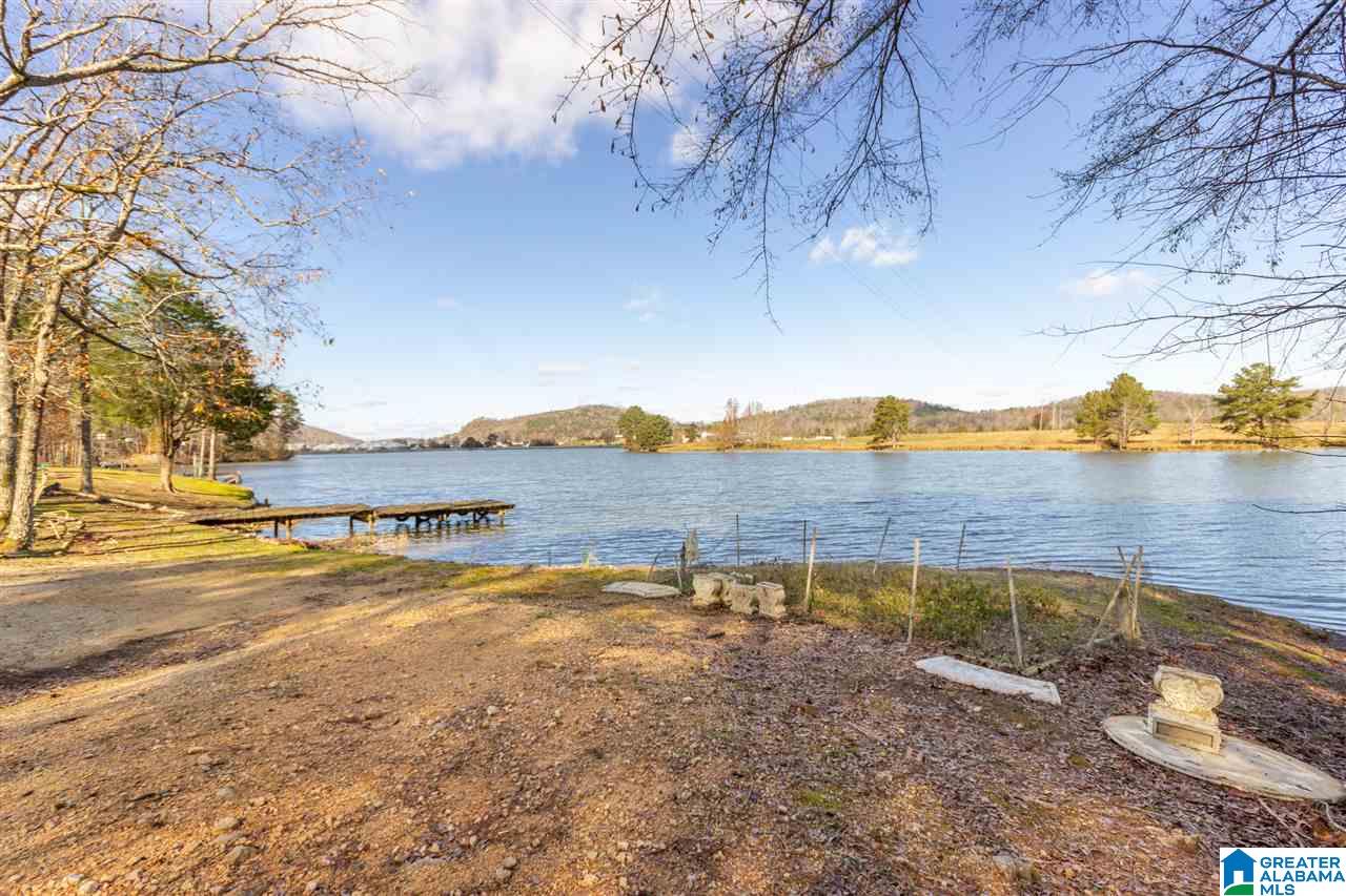 333 Riverview Lane Ohatchee, AL 36271 - Photo 35 of 50