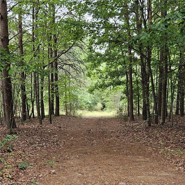 2025 Lace Knoll Road East Bend, NC 27018 - Photo 36 of 42