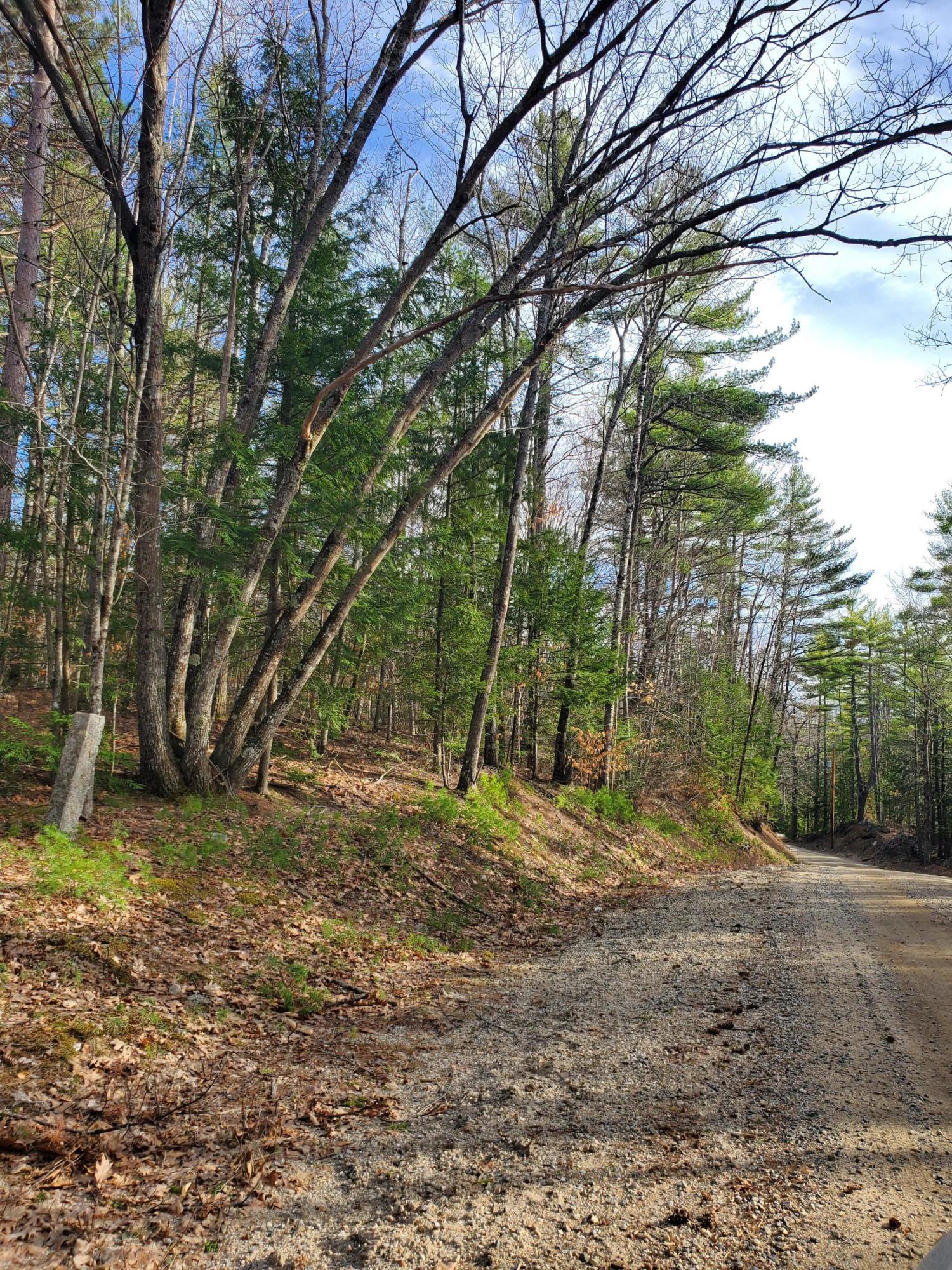 6 Lost Mile Road Parsonsfield, ME 04047 - Photo 2 of 3 20210406_170123