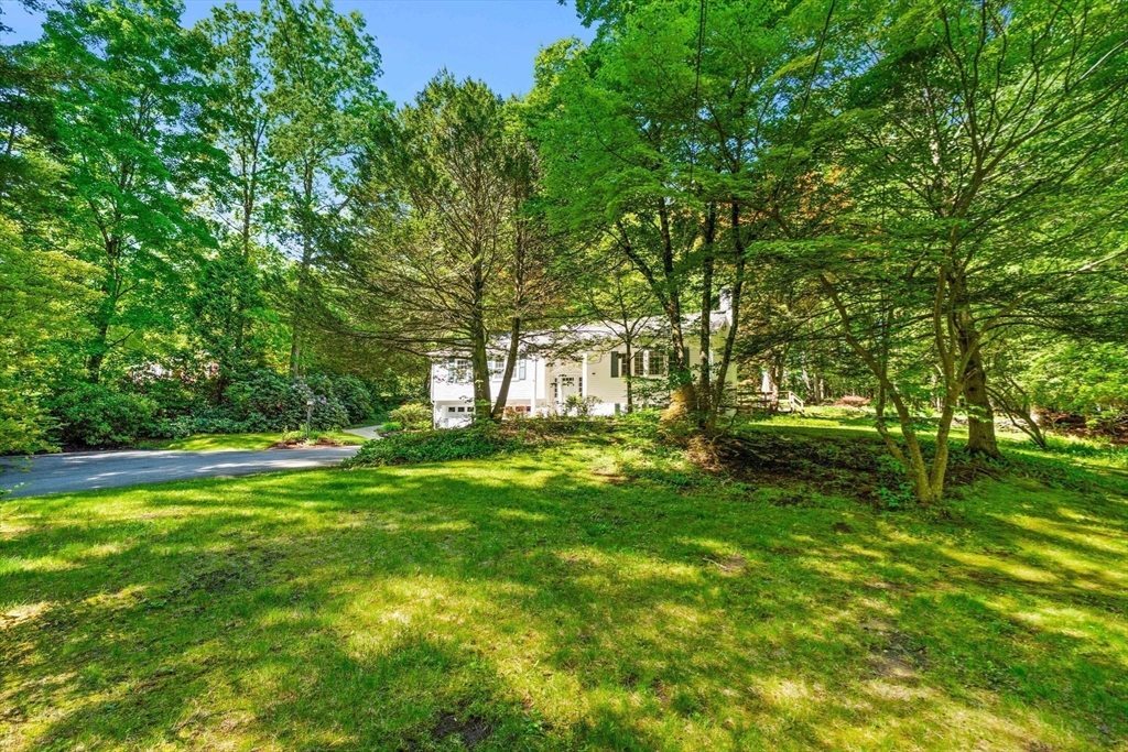 371 Longley Road Groton, MA 01450 - Photo 32 of 33 a view of a yard with a tree