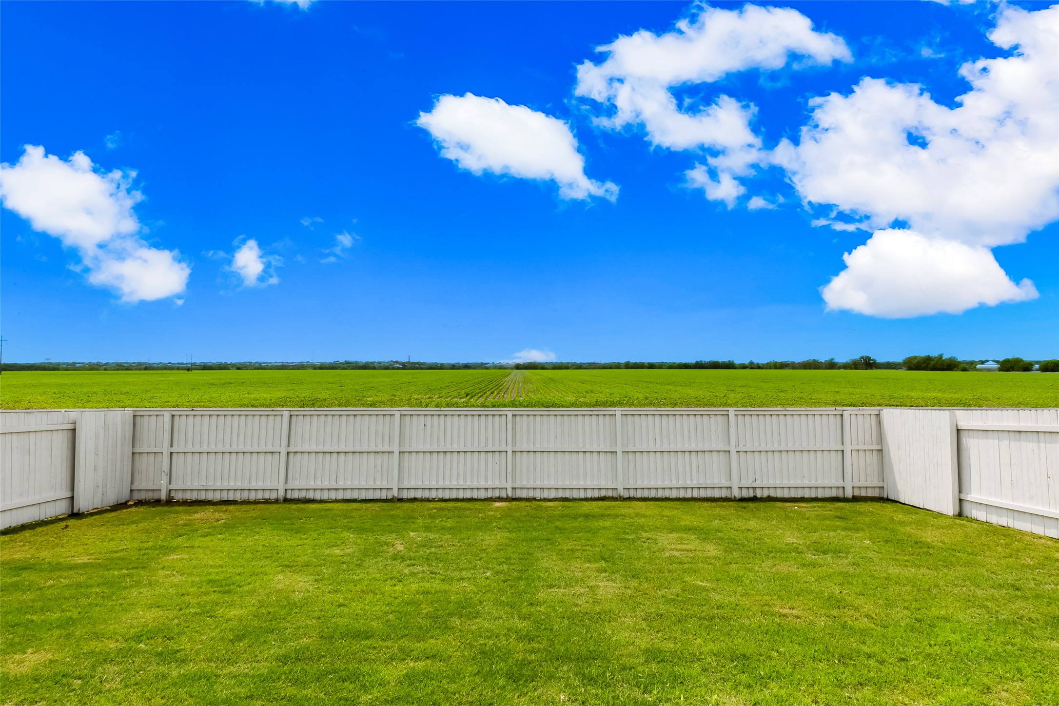2721 Winding Creek Road Kyle, TX 78640 - Photo 25 of 27 Expansive grassy yard area featuring a white privacy fence