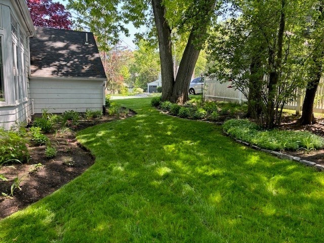 6 Earle Road Wellesley, MA 02481 - Photo 32 of 33 a view of backyard of house with green space
