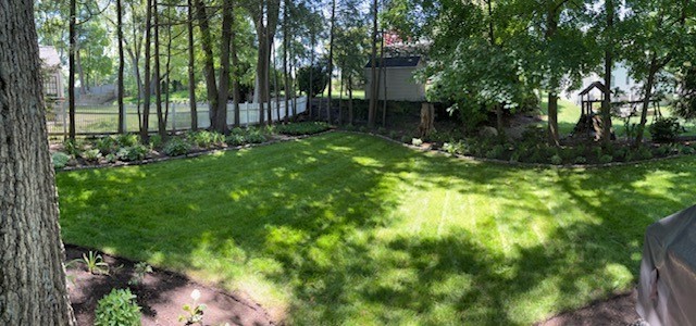6 Earle Road Wellesley, MA 02481 - Photo 33 of 33 a backyard of a house with plants and large trees