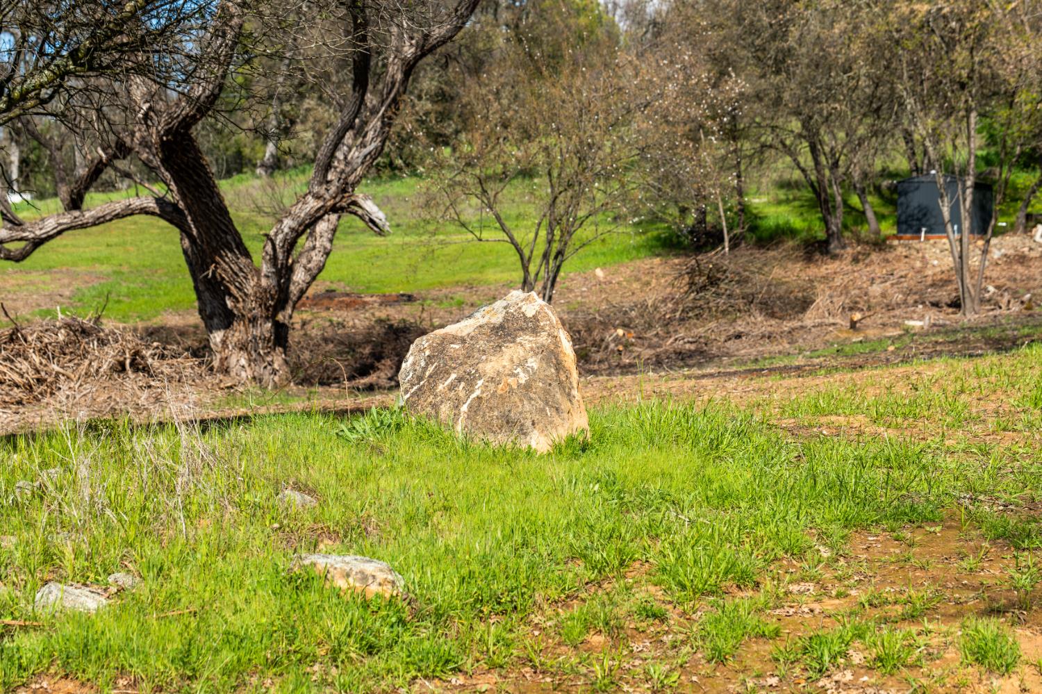 10925 Joeger Road Auburn, CA 95602 - Photo 16 of 24 a view of a garden with trees