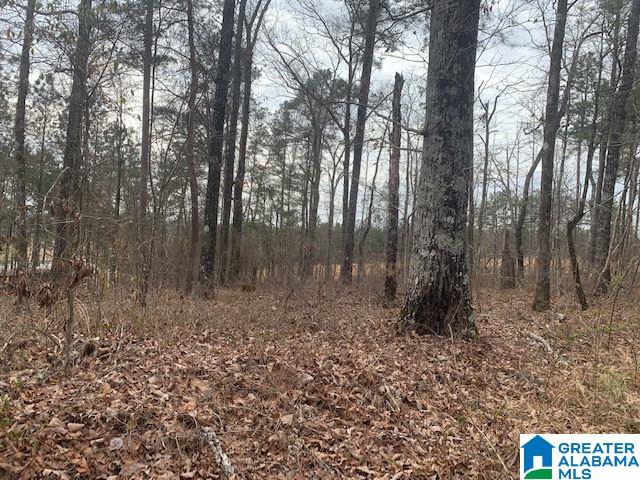4126 Grey Hill Road, Unit 1 West Blocton, AL 35184 - Photo 2 of 2