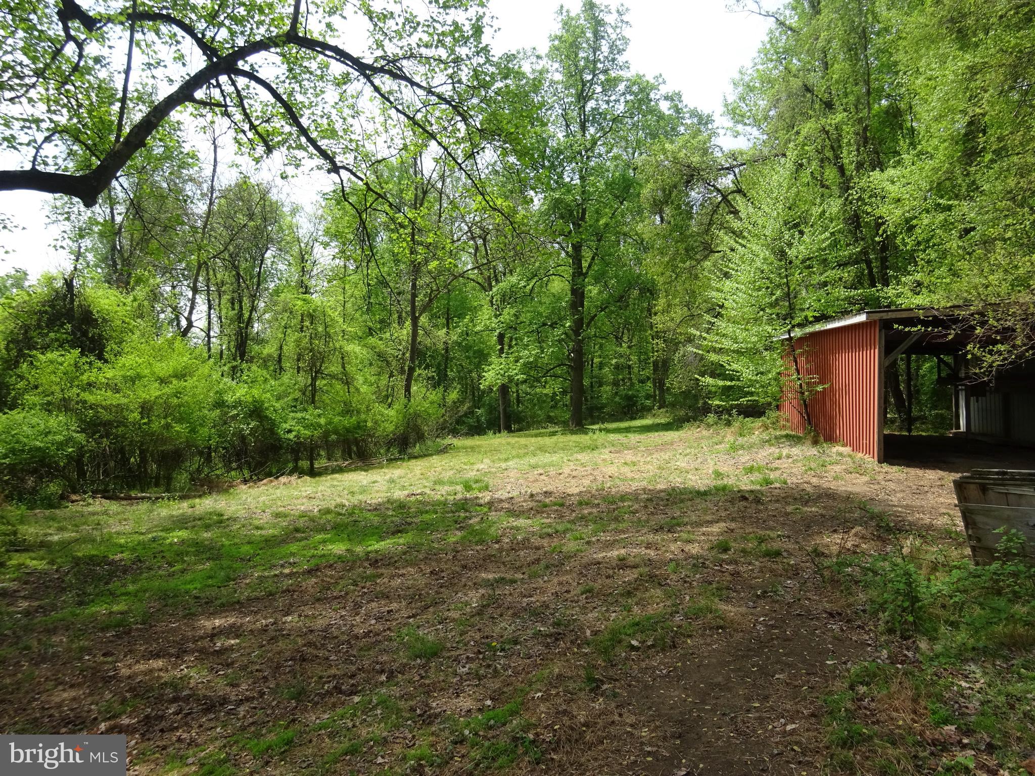 371 Wegman Road Reading, PA 19606 - Photo 102 of 113 Clearing Below