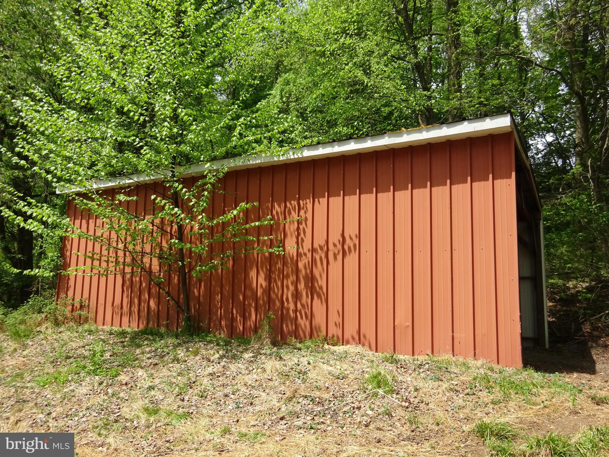 371 Wegman Road Reading, PA 19606 - Photo 105 of 113 Clearing Below Pole Barn