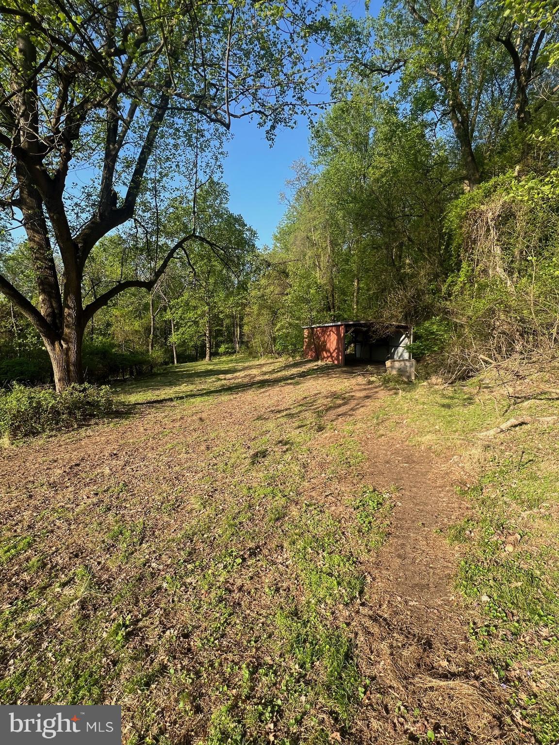 371 Wegman Road Reading, PA 19606 - Photo 106 of 113 Clearing Below