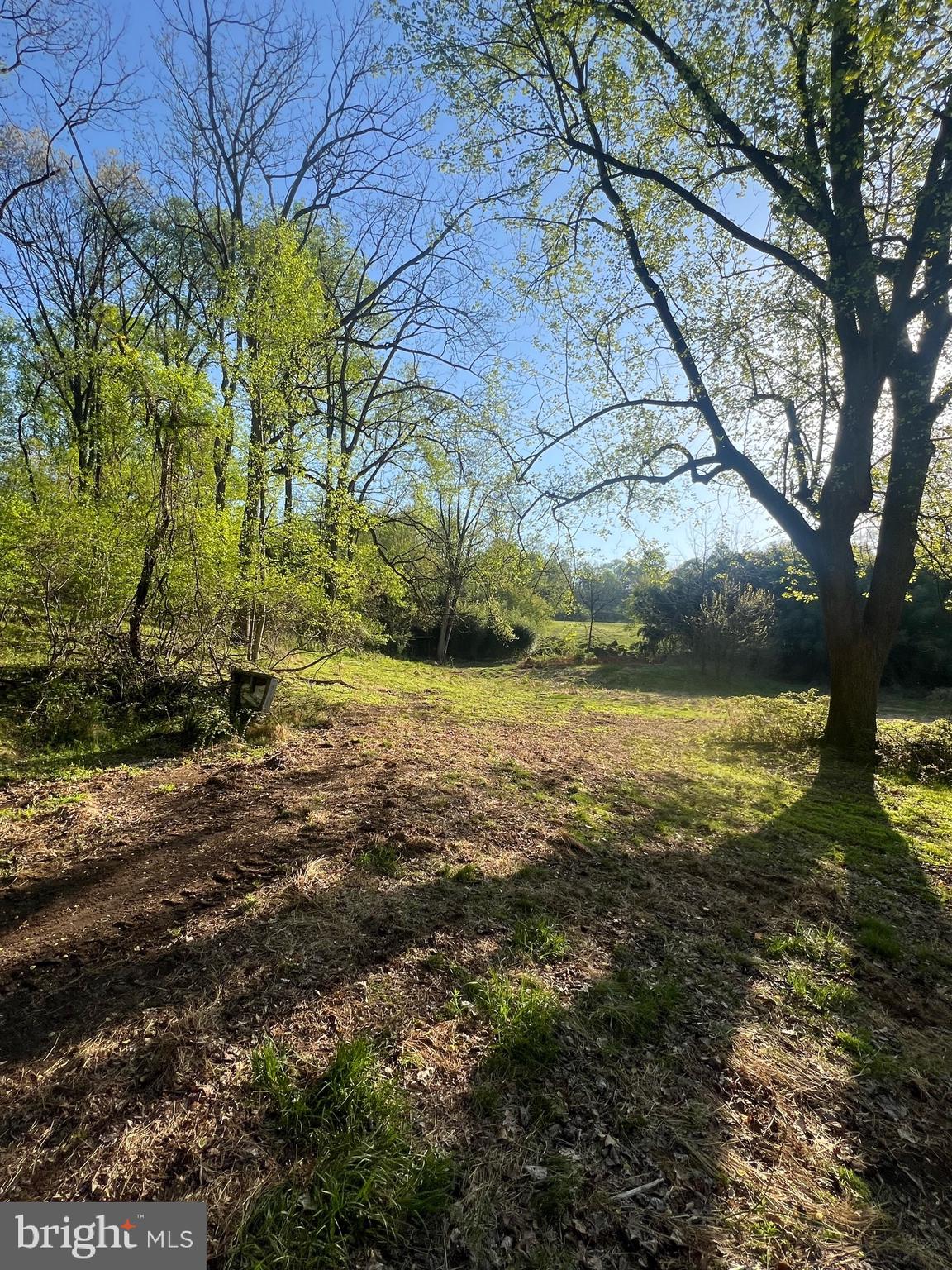 371 Wegman Road Reading, PA 19606 - Photo 107 of 113 Clearing Below