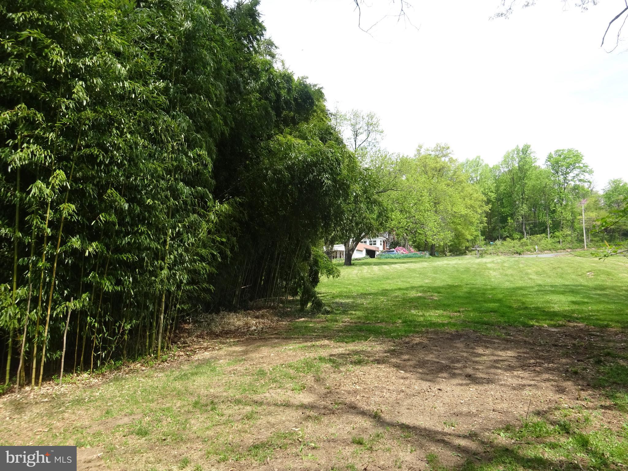 371 Wegman Road Reading, PA 19606 - Photo 108 of 113 Clearing Below