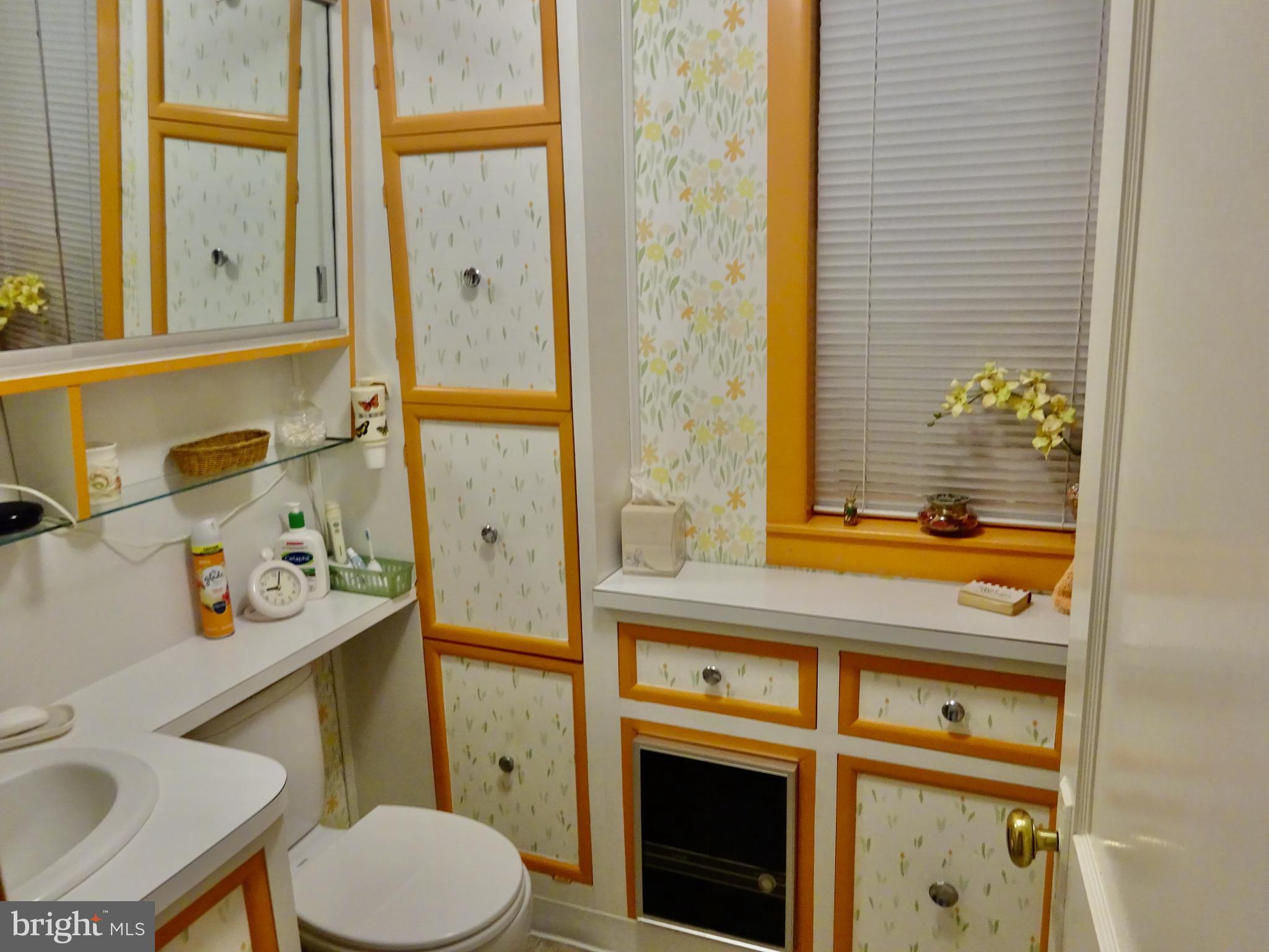 371 Wegman Road Reading, PA 19606 - Photo 28 of 113 Main Level Full Bath