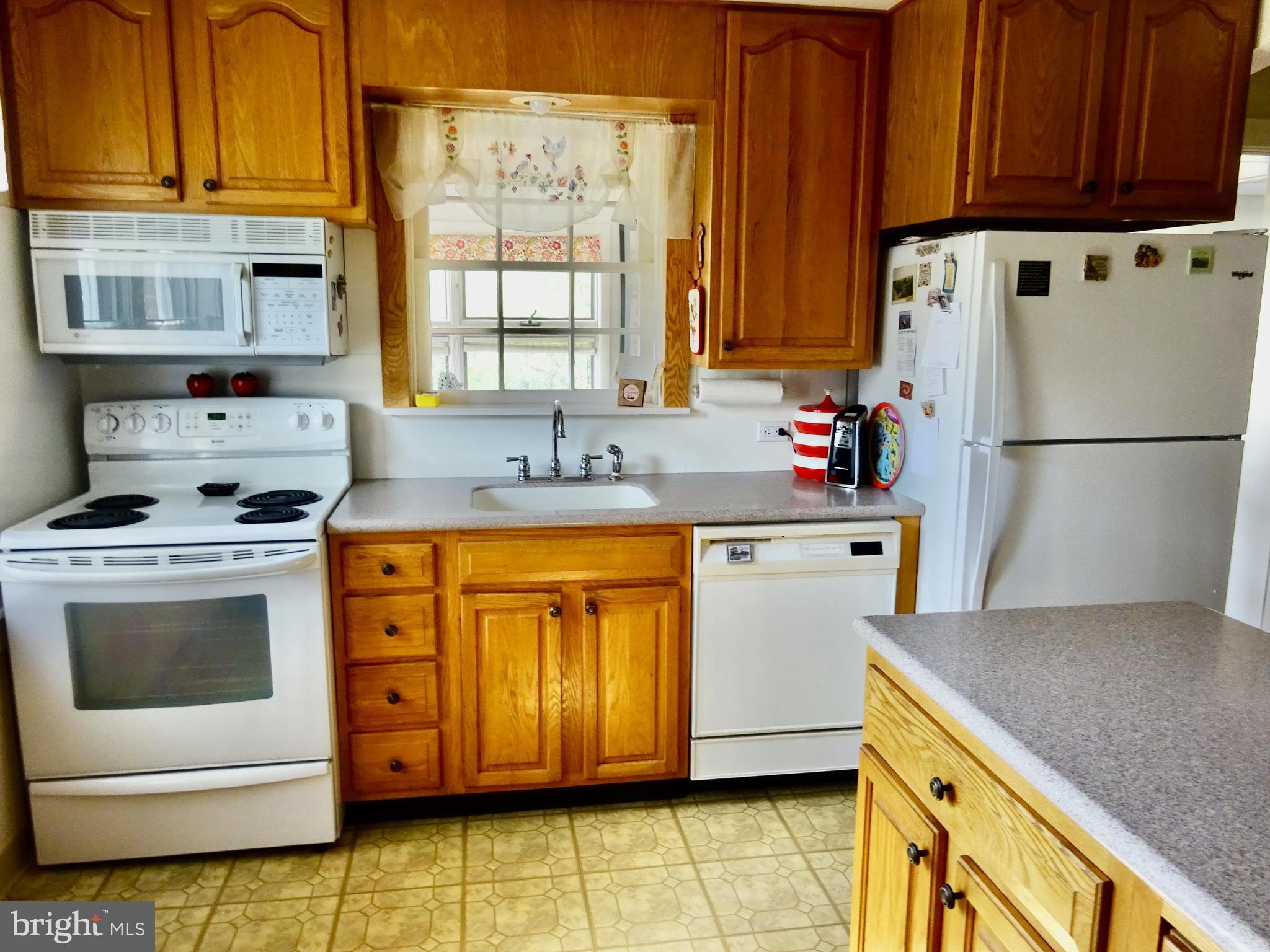 371 Wegman Road Reading, PA 19606 - Photo 4 of 113 35 Handle Kitchen