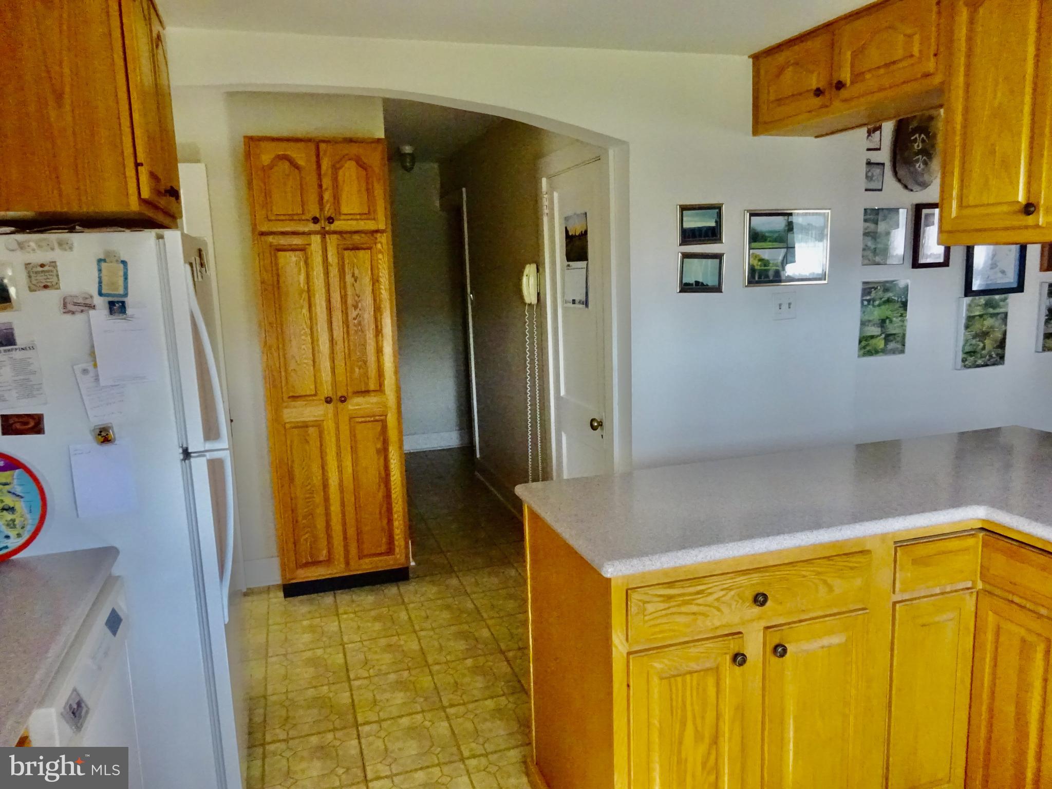 371 Wegman Road Reading, PA 19606 - Photo 7 of 113 35 Handle Kitchen