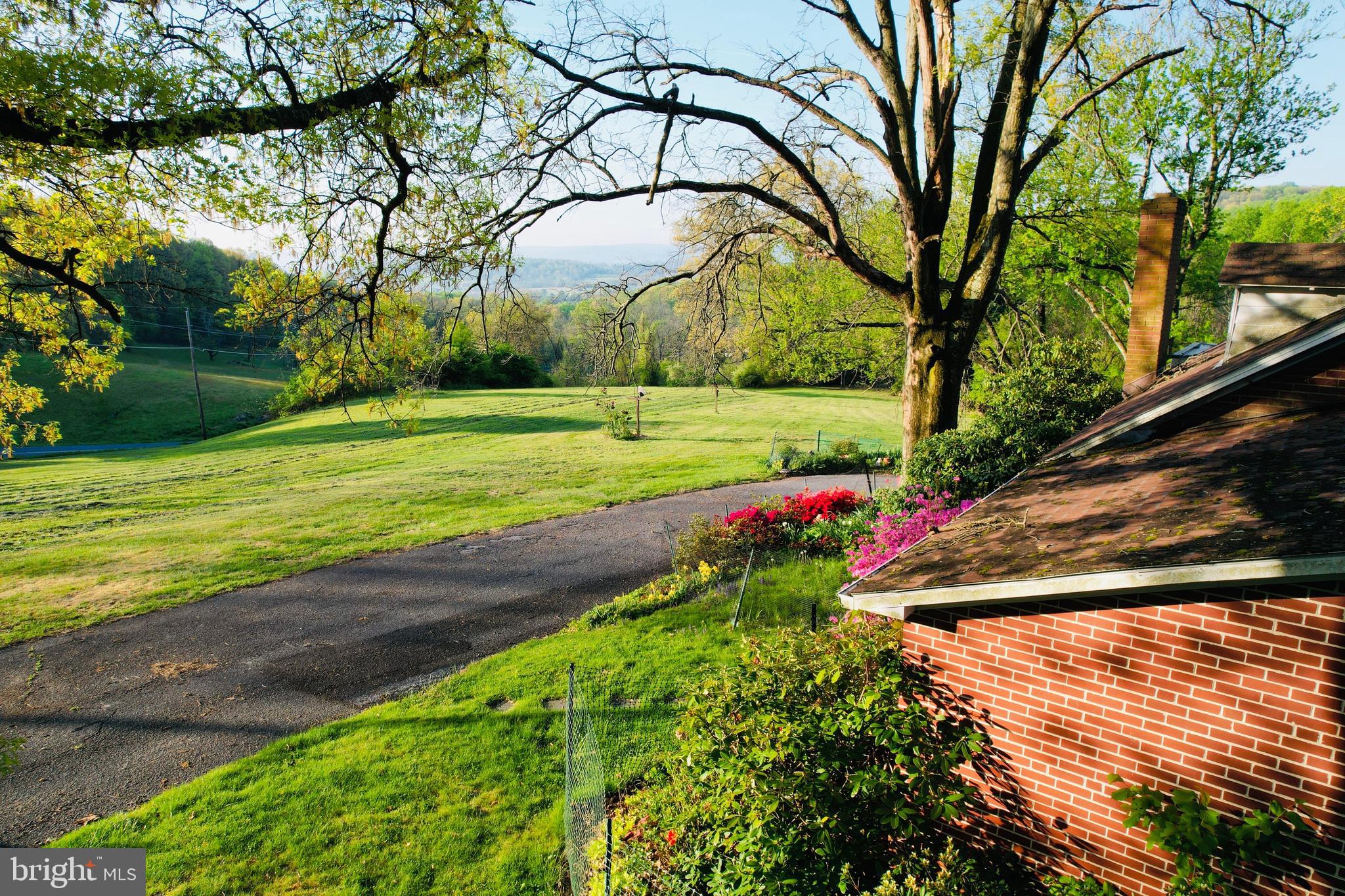 371 Wegman Road Reading, PA 19606 - Photo 71 of 113 Side Yard