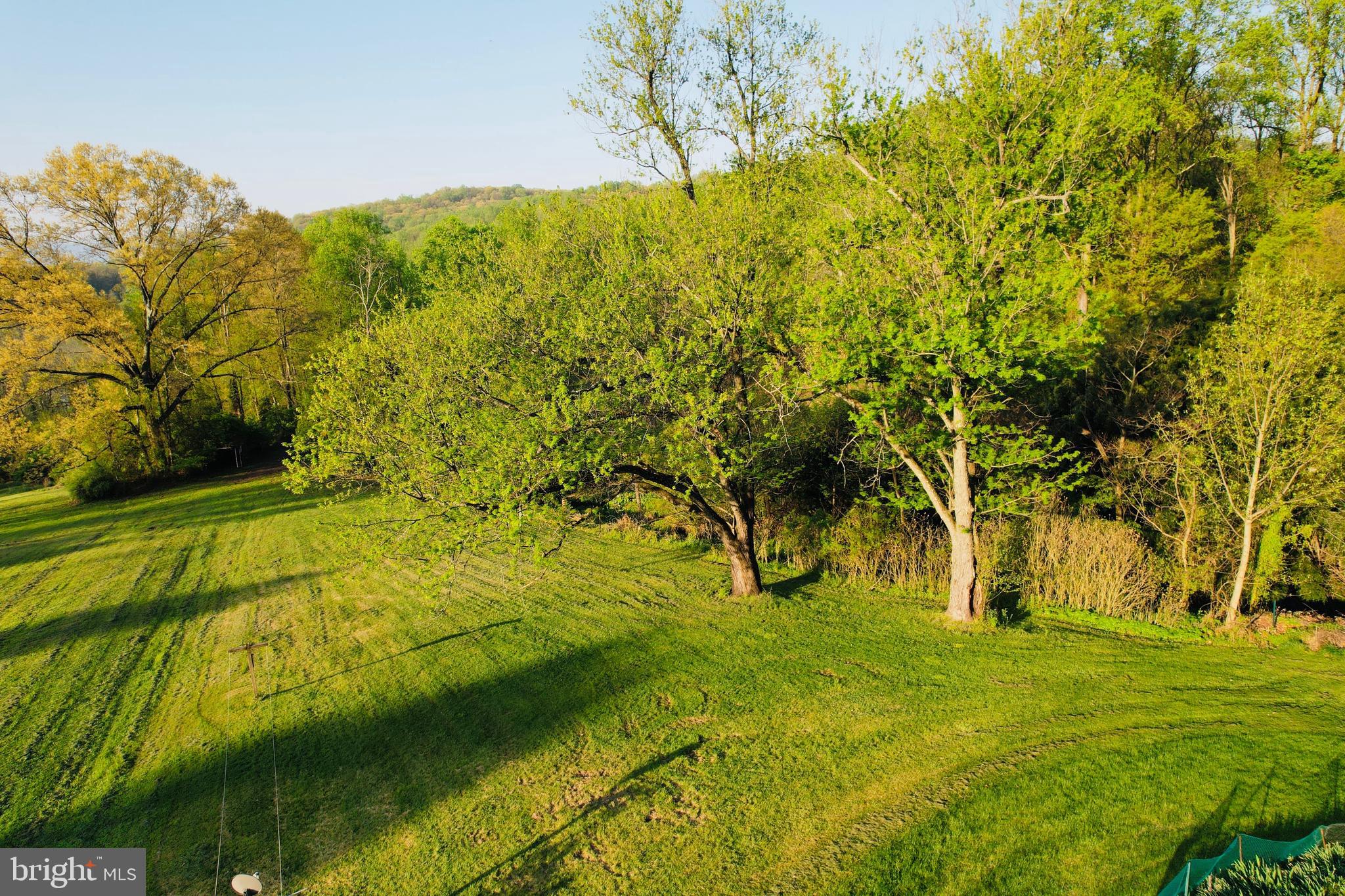 371 Wegman Road Reading, PA 19606 - Photo 78 of 113 Side Yard