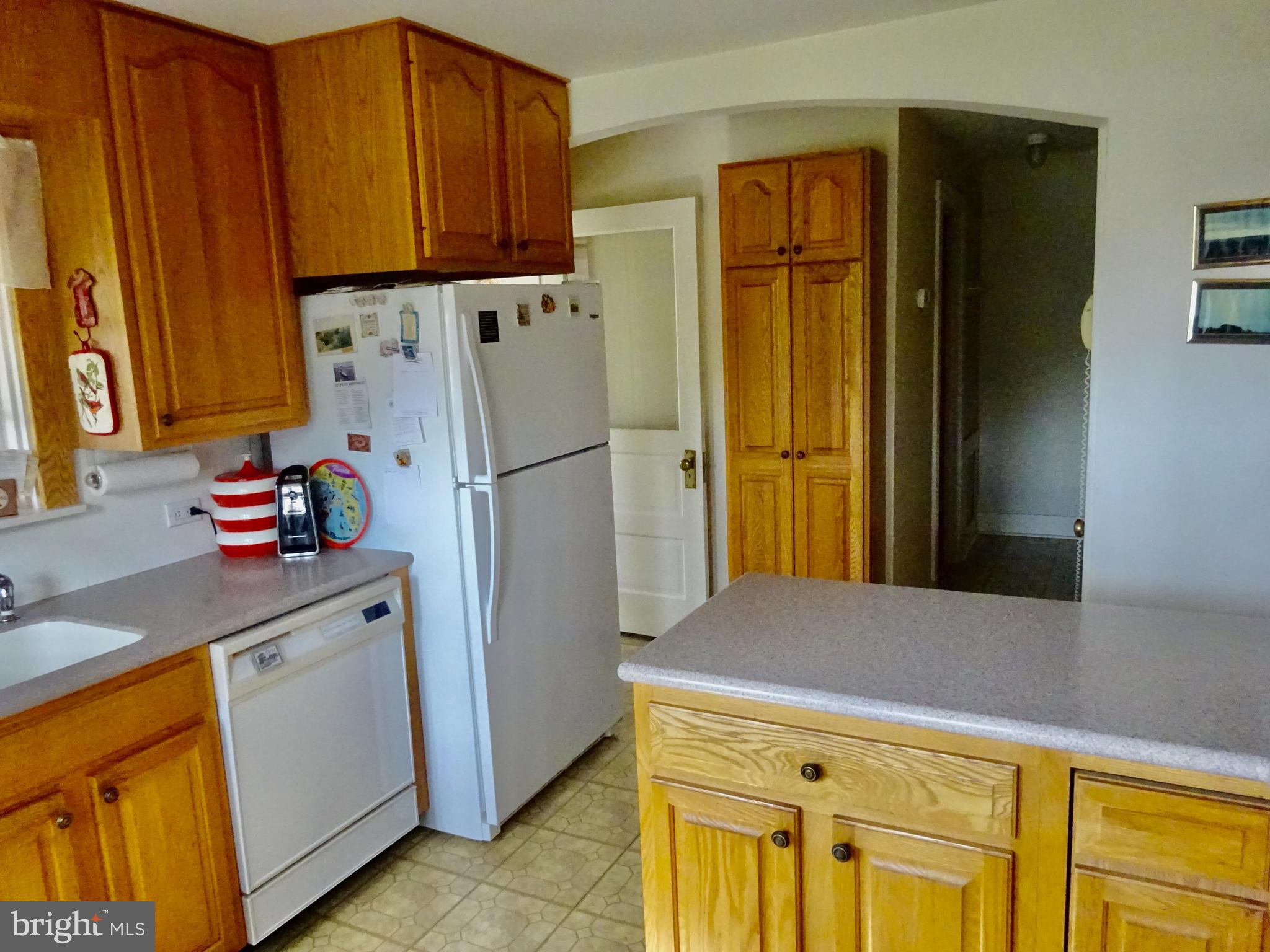 371 Wegman Road Reading, PA 19606 - Photo 8 of 113 35 Handle Kitchen