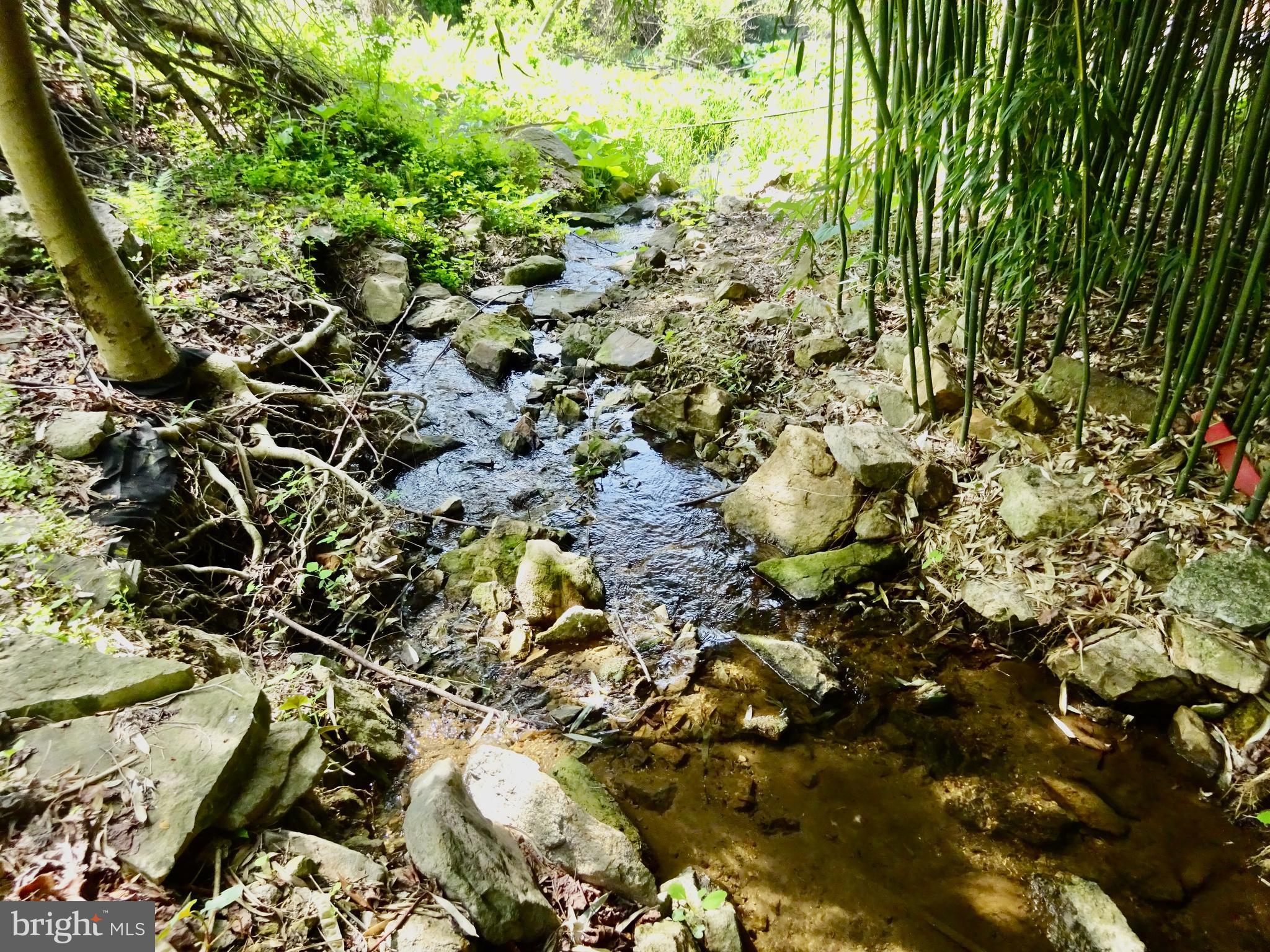 371 Wegman Road Reading, PA 19606 - Photo 84 of 113 Clearing Below Creek