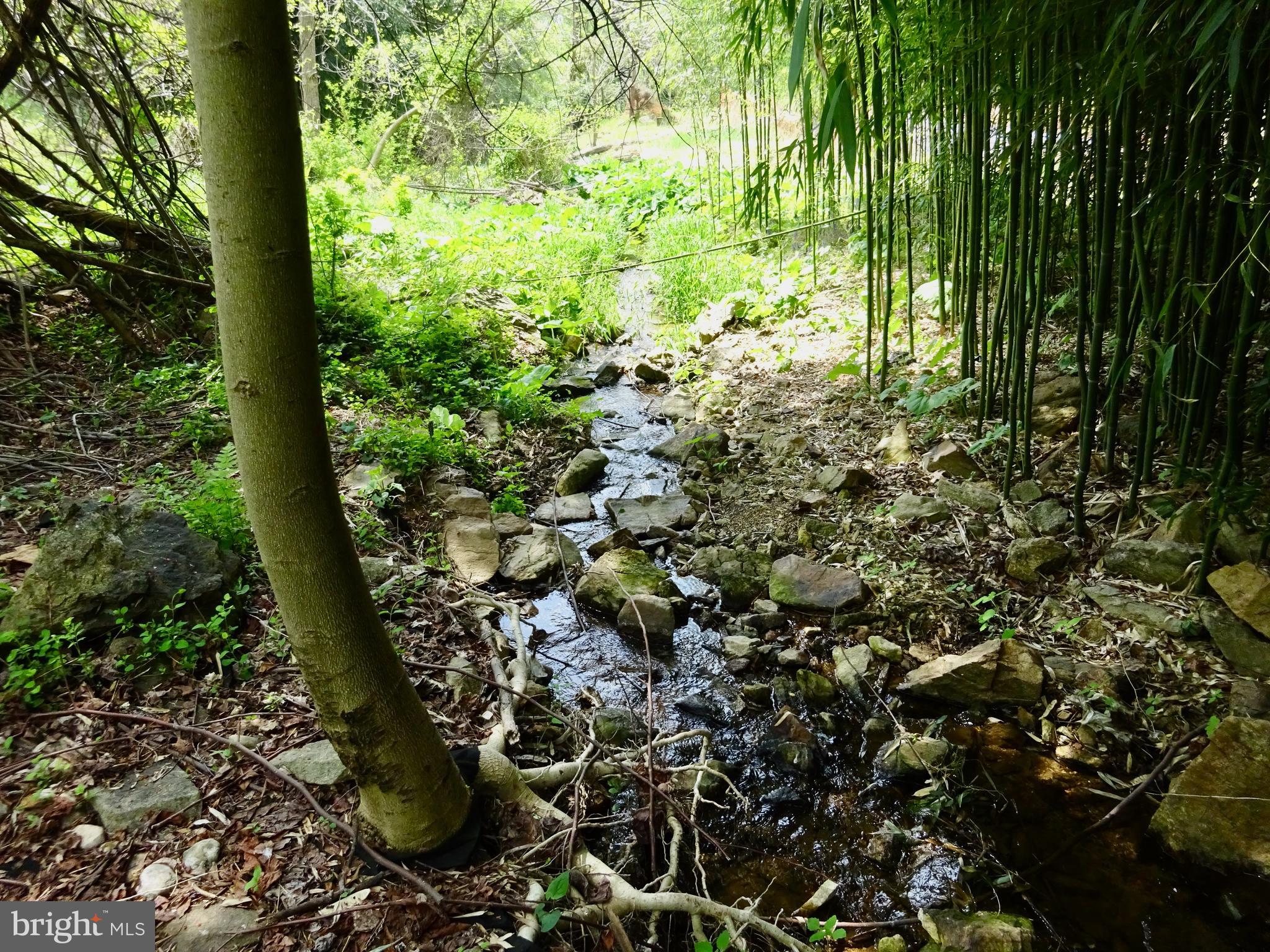 371 Wegman Road Reading, PA 19606 - Photo 85 of 113 Clearing Below Creek
