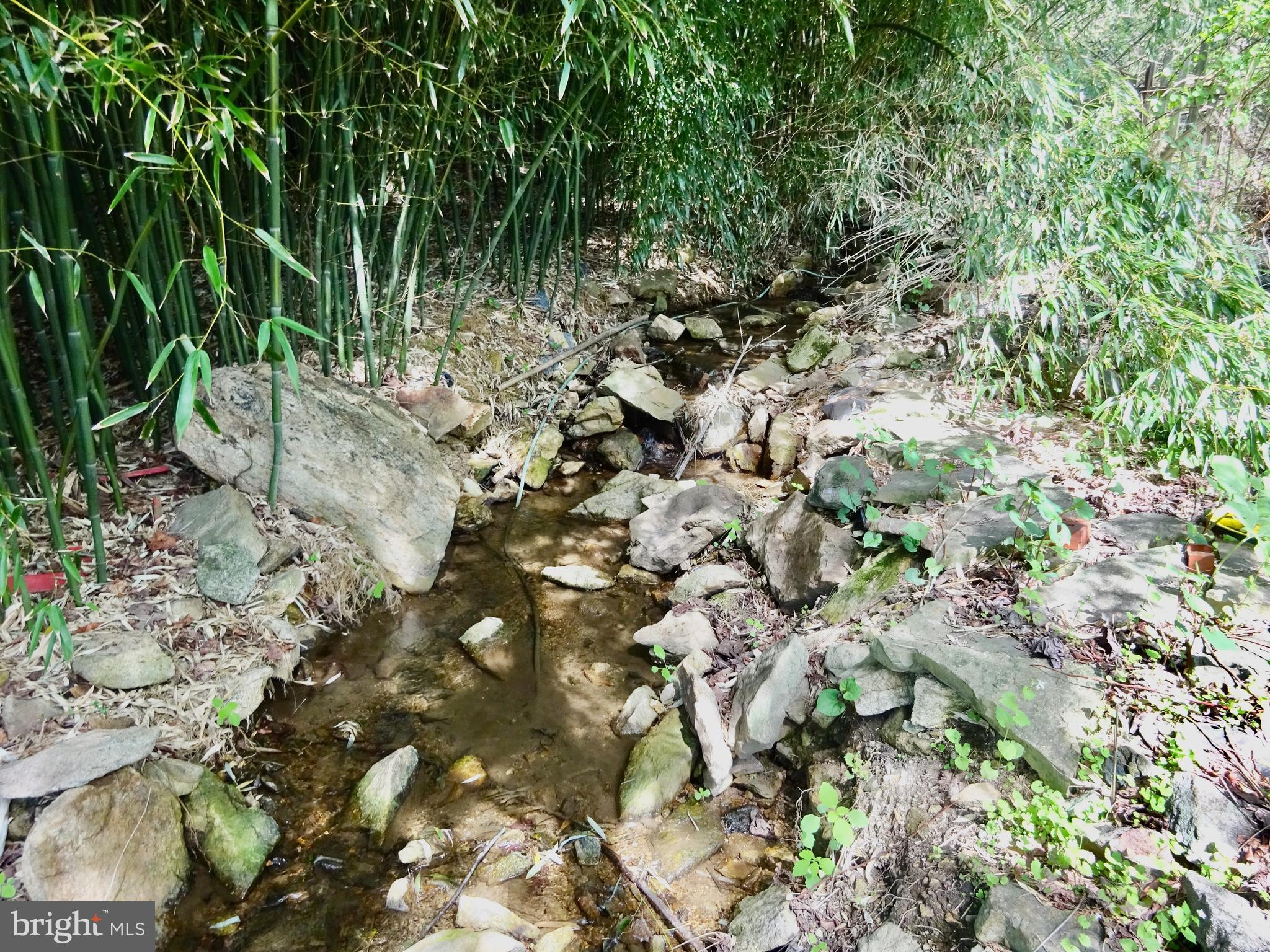 371 Wegman Road Reading, PA 19606 - Photo 87 of 113 Clearing Below Creek