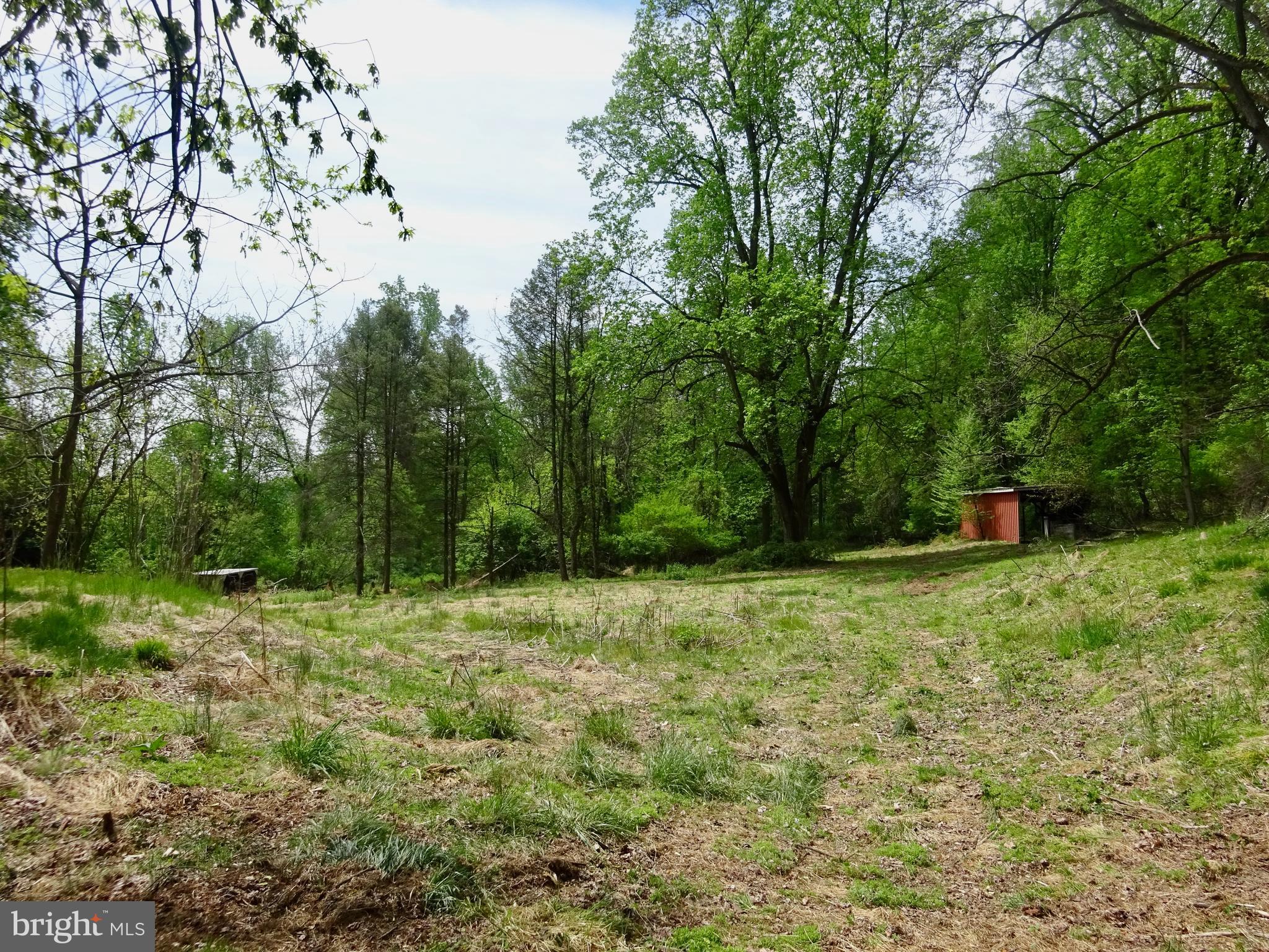 371 Wegman Road Reading, PA 19606 - Photo 88 of 113 Clearing Below