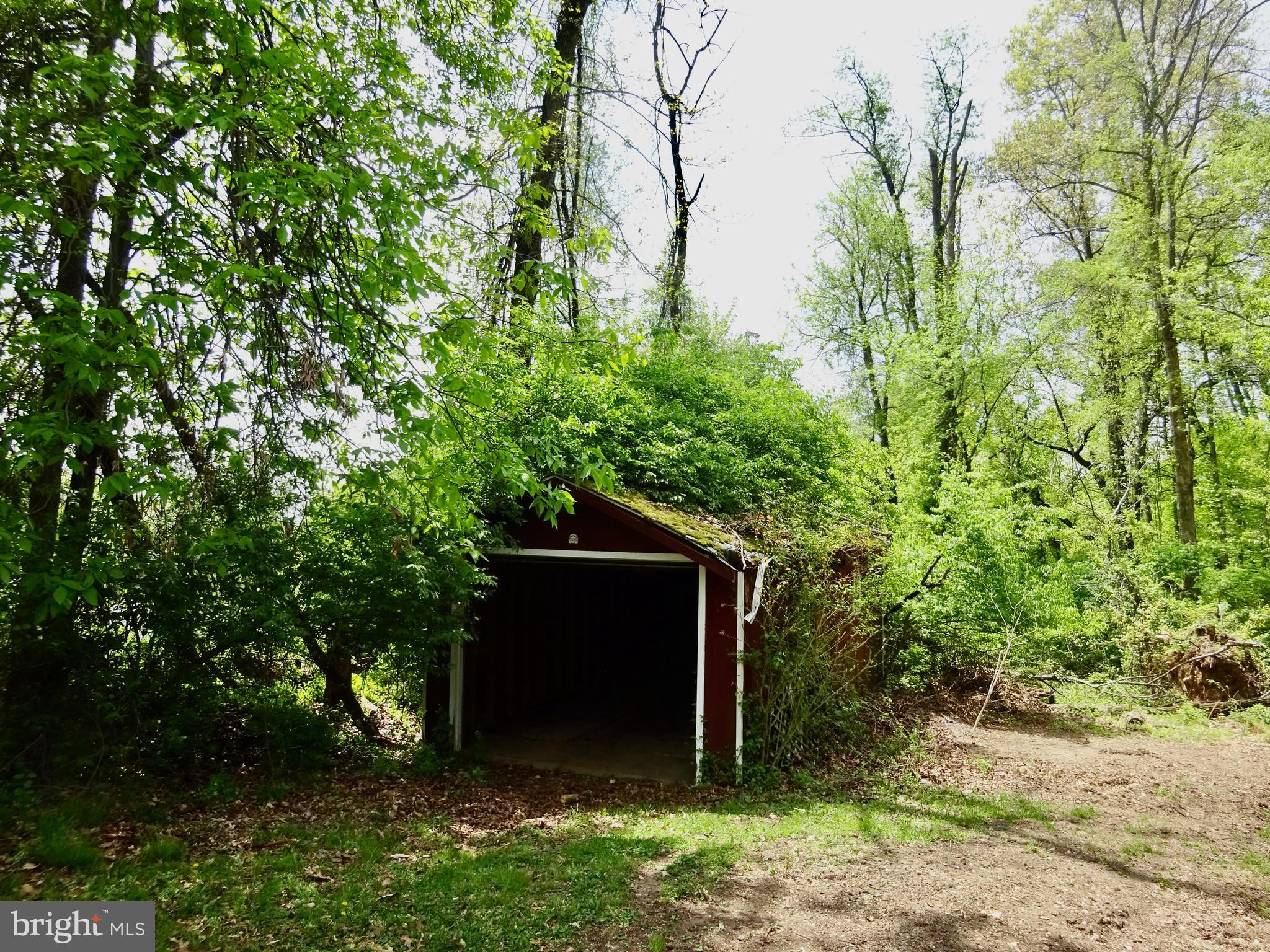 371 Wegman Road Reading, PA 19606 - Photo 89 of 113 Clearing Below Old Shed
