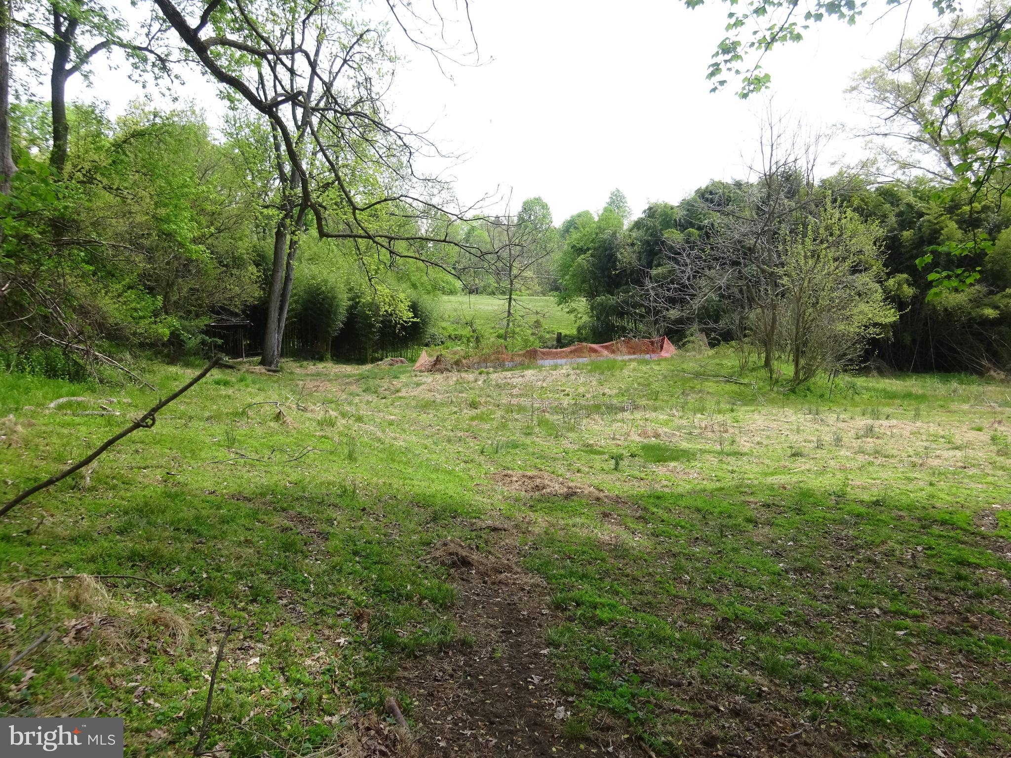 371 Wegman Road Reading, PA 19606 - Photo 91 of 113 Clearing Below