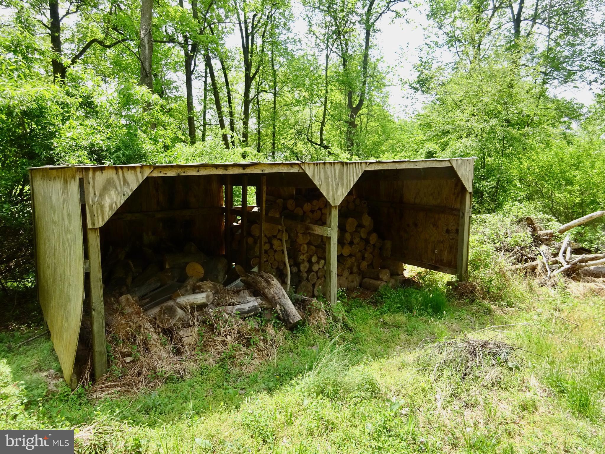 371 Wegman Road Reading, PA 19606 - Photo 92 of 113 Clearing Below Wood Shed