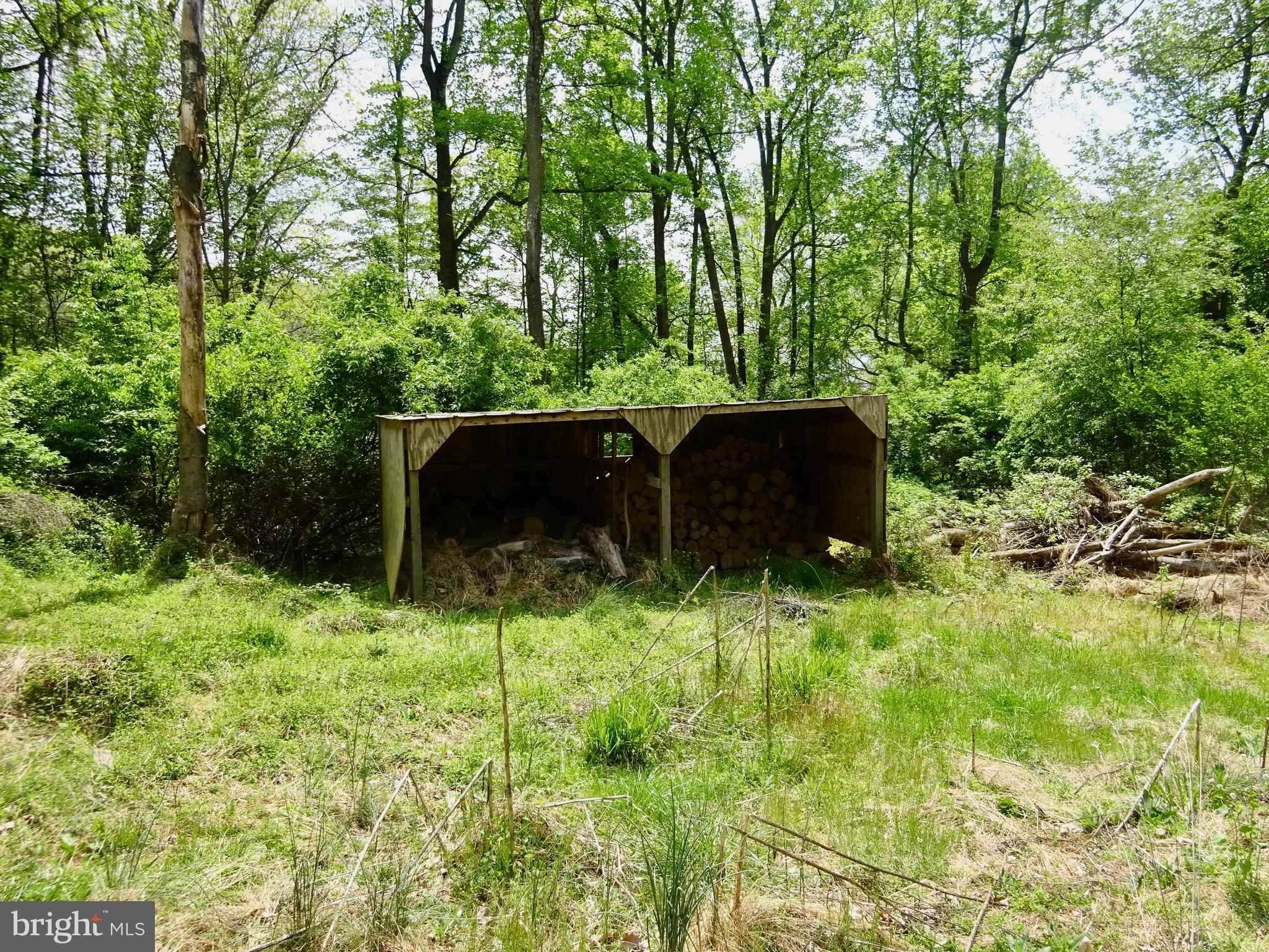 371 Wegman Road Reading, PA 19606 - Photo 93 of 113 Clearing Below Wood Shed