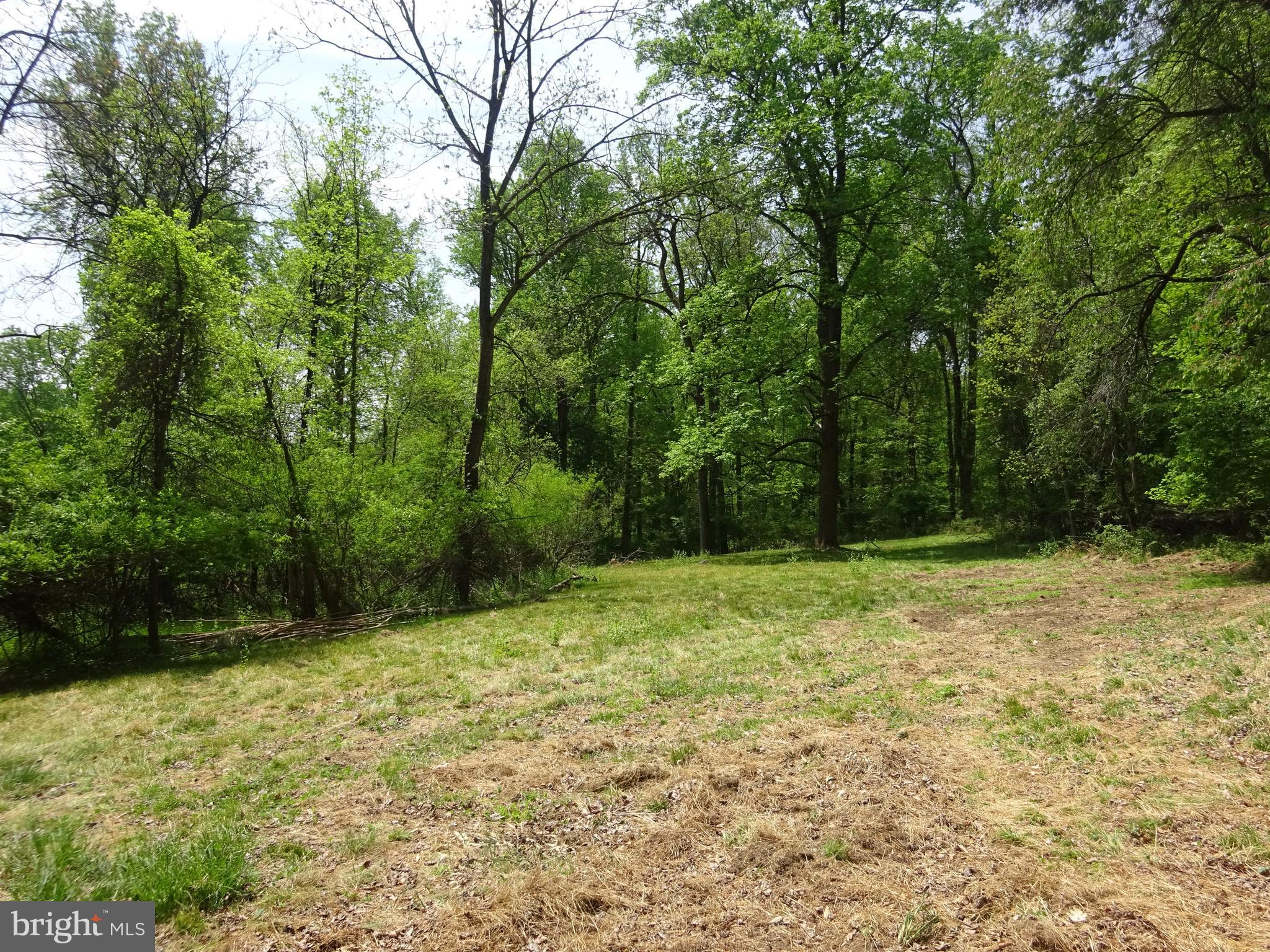 371 Wegman Road Reading, PA 19606 - Photo 94 of 113 Clearing Below