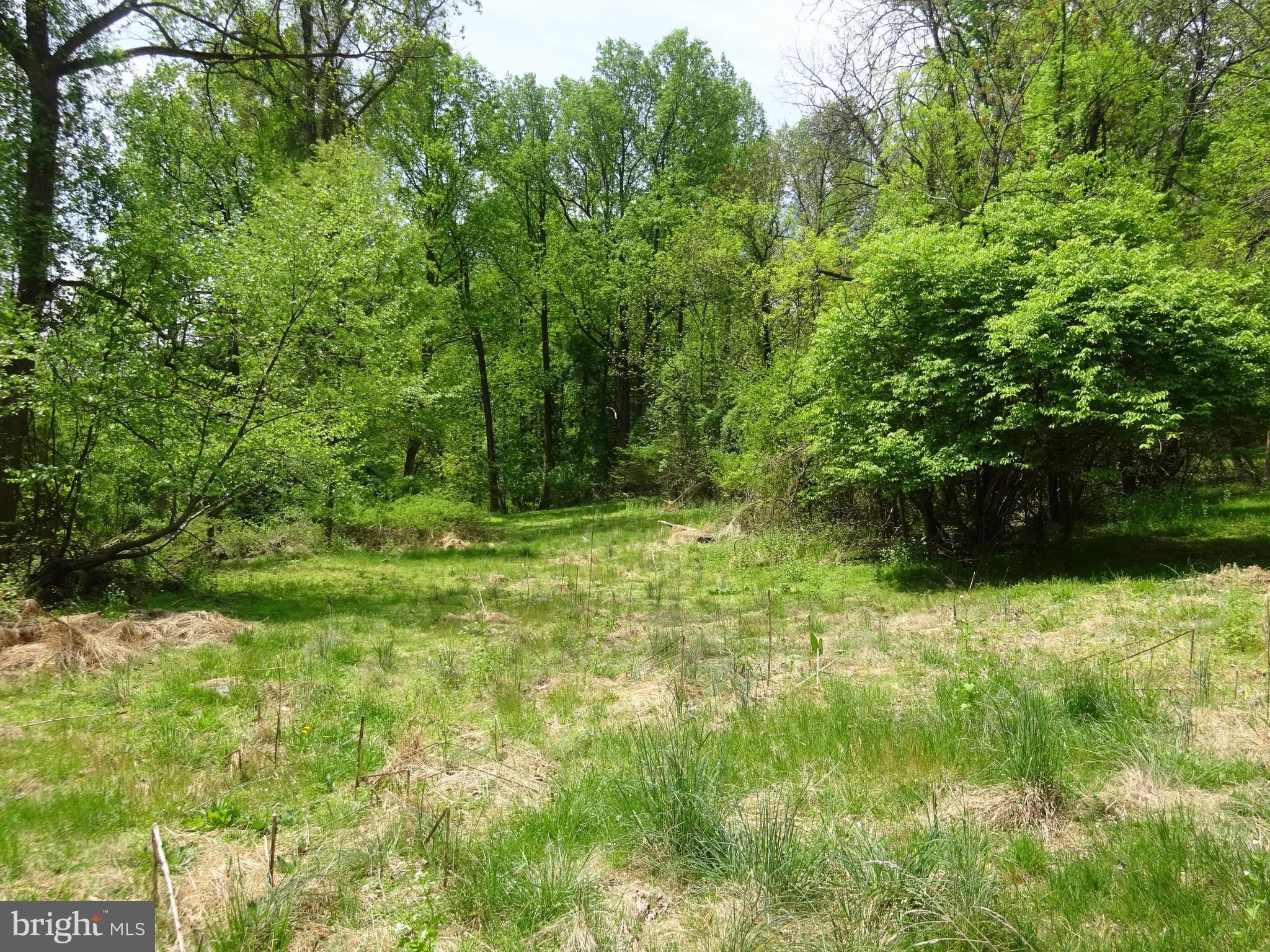 371 Wegman Road Reading, PA 19606 - Photo 95 of 113 Clearing Below