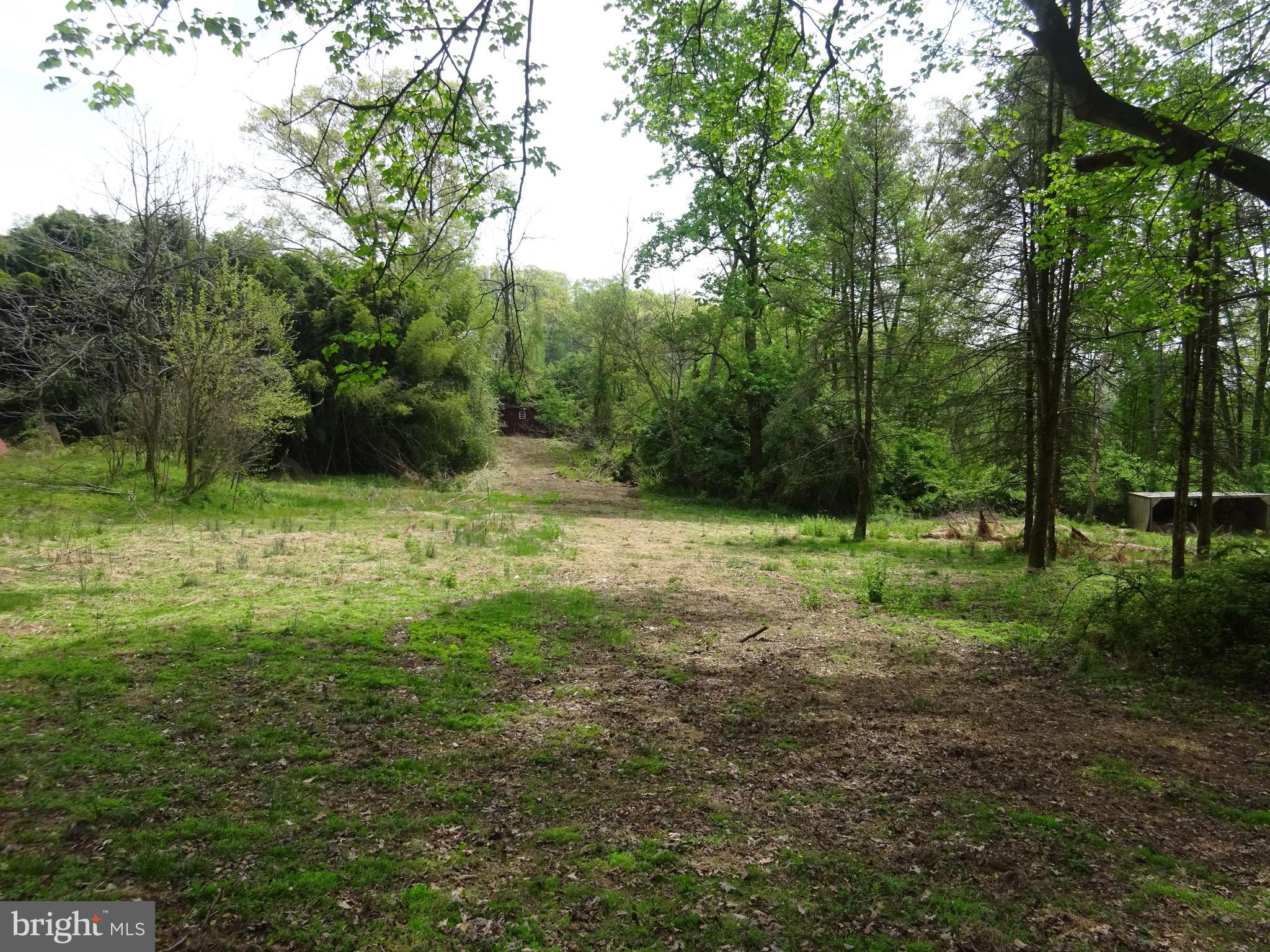 371 Wegman Road Reading, PA 19606 - Photo 96 of 113 Clearing Below