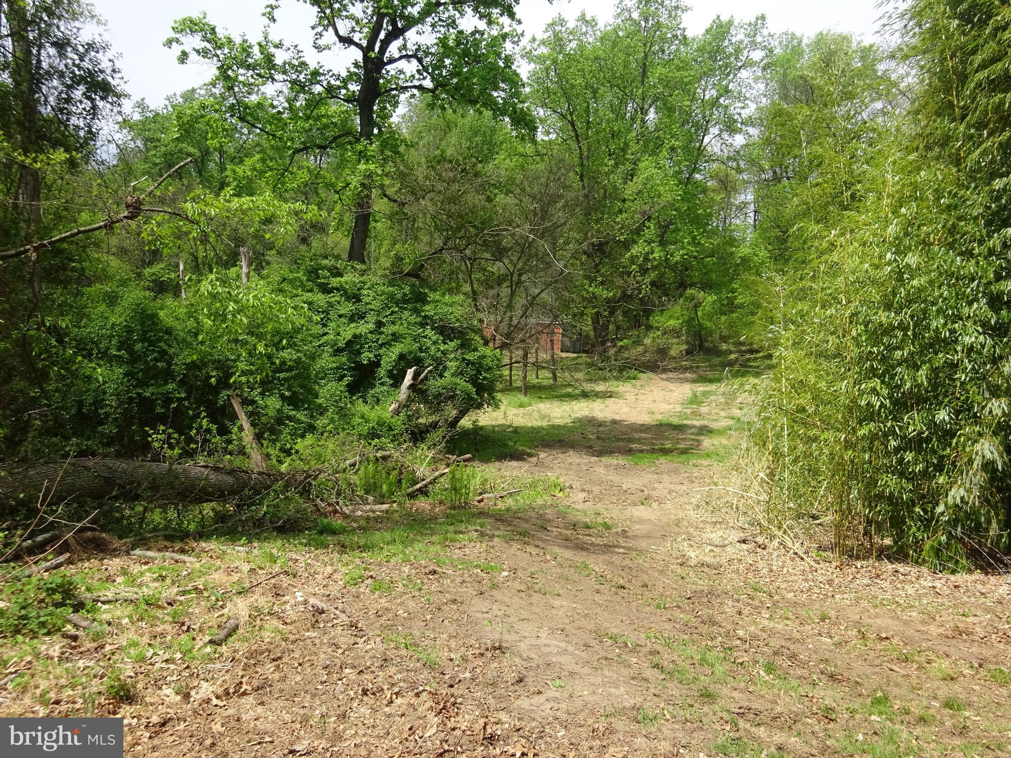 371 Wegman Road Reading, PA 19606 - Photo 97 of 113 Clearing Below