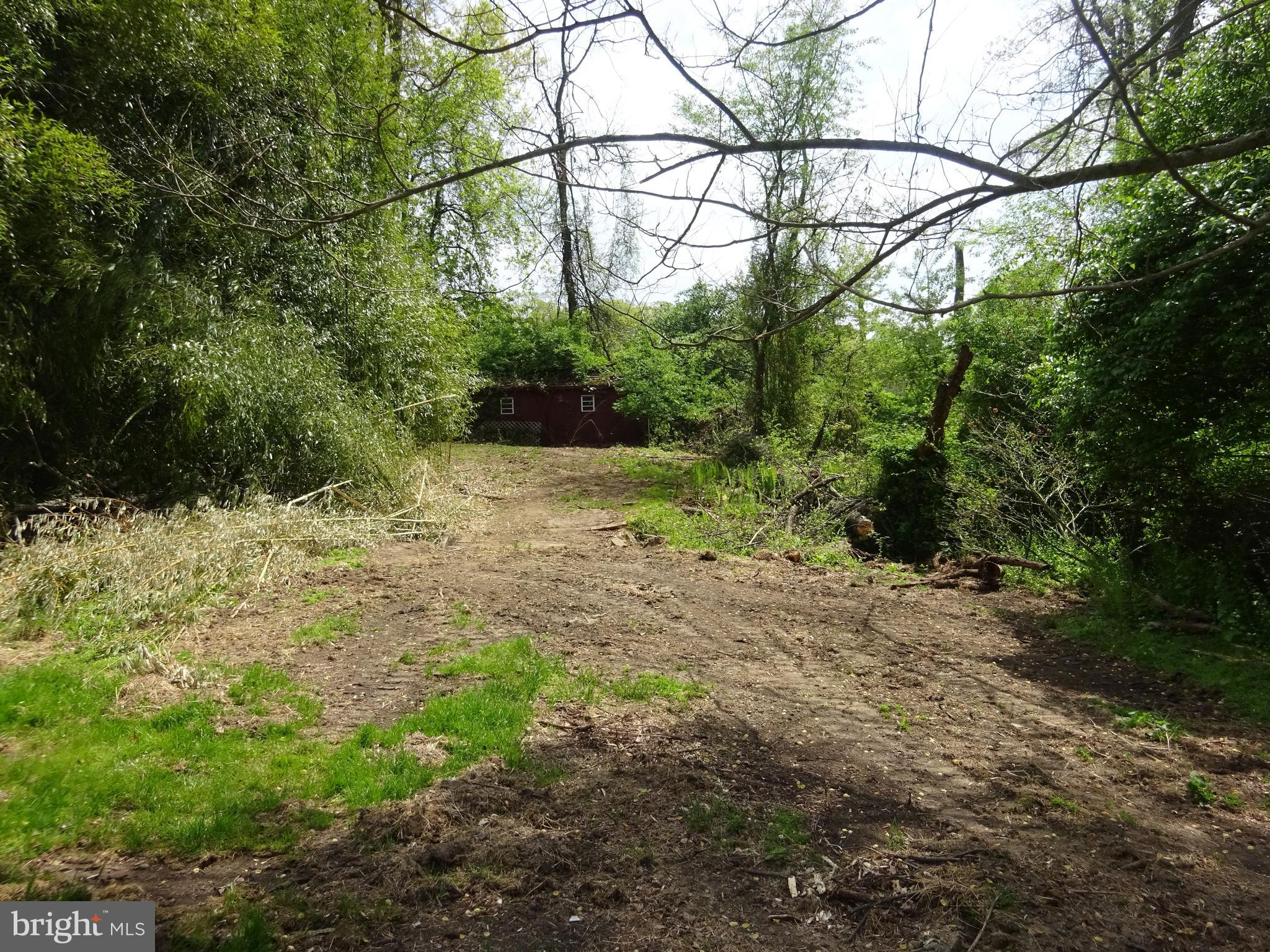 371 Wegman Road Reading, PA 19606 - Photo 98 of 113 Clearing Below