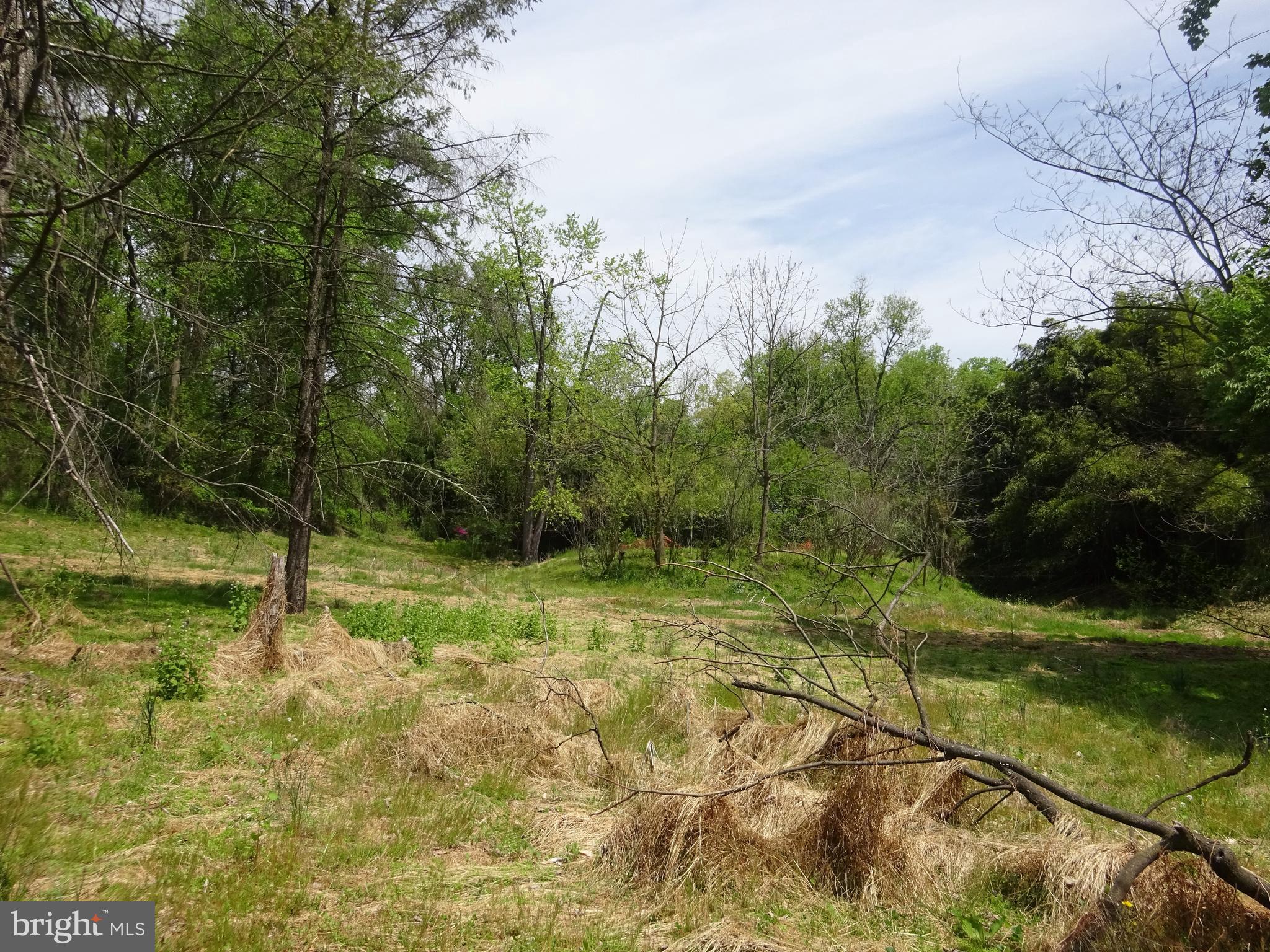 371 Wegman Road Reading, PA 19606 - Photo 99 of 113 Clearing Below