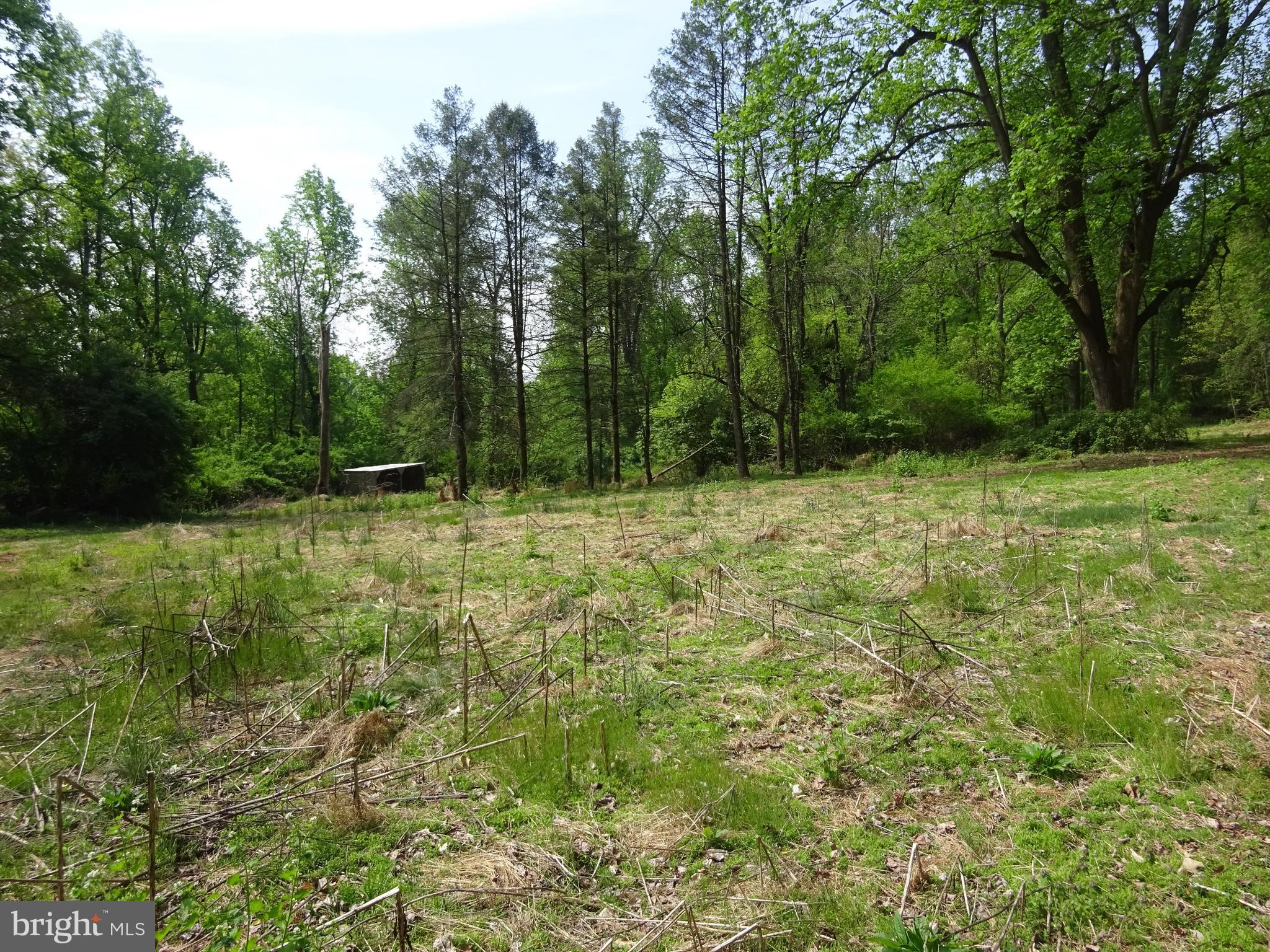 371 Wegman Road Reading, PA 19606 - Photo 100 of 113 Clearing Below