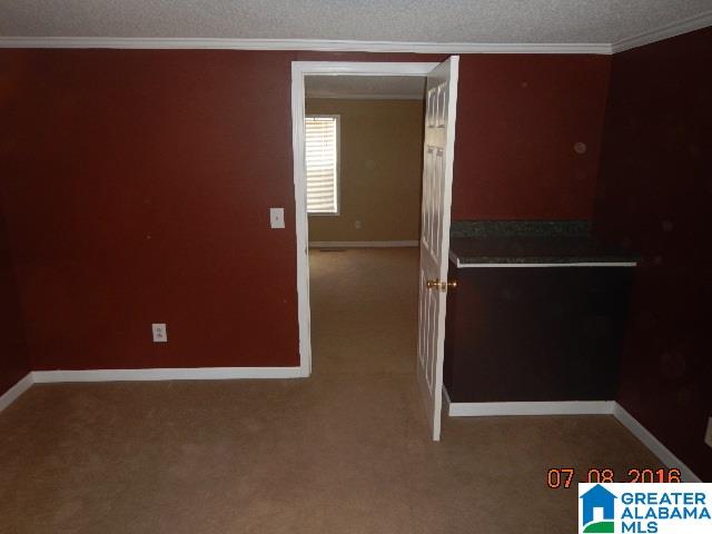 1538 Johnsey Bridge Road Jasper, AL 35503 - Photo 7 of 19