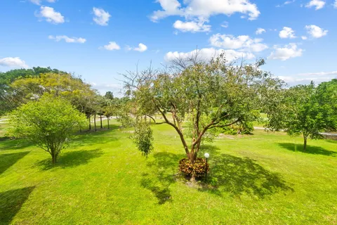 a view of yard with green space