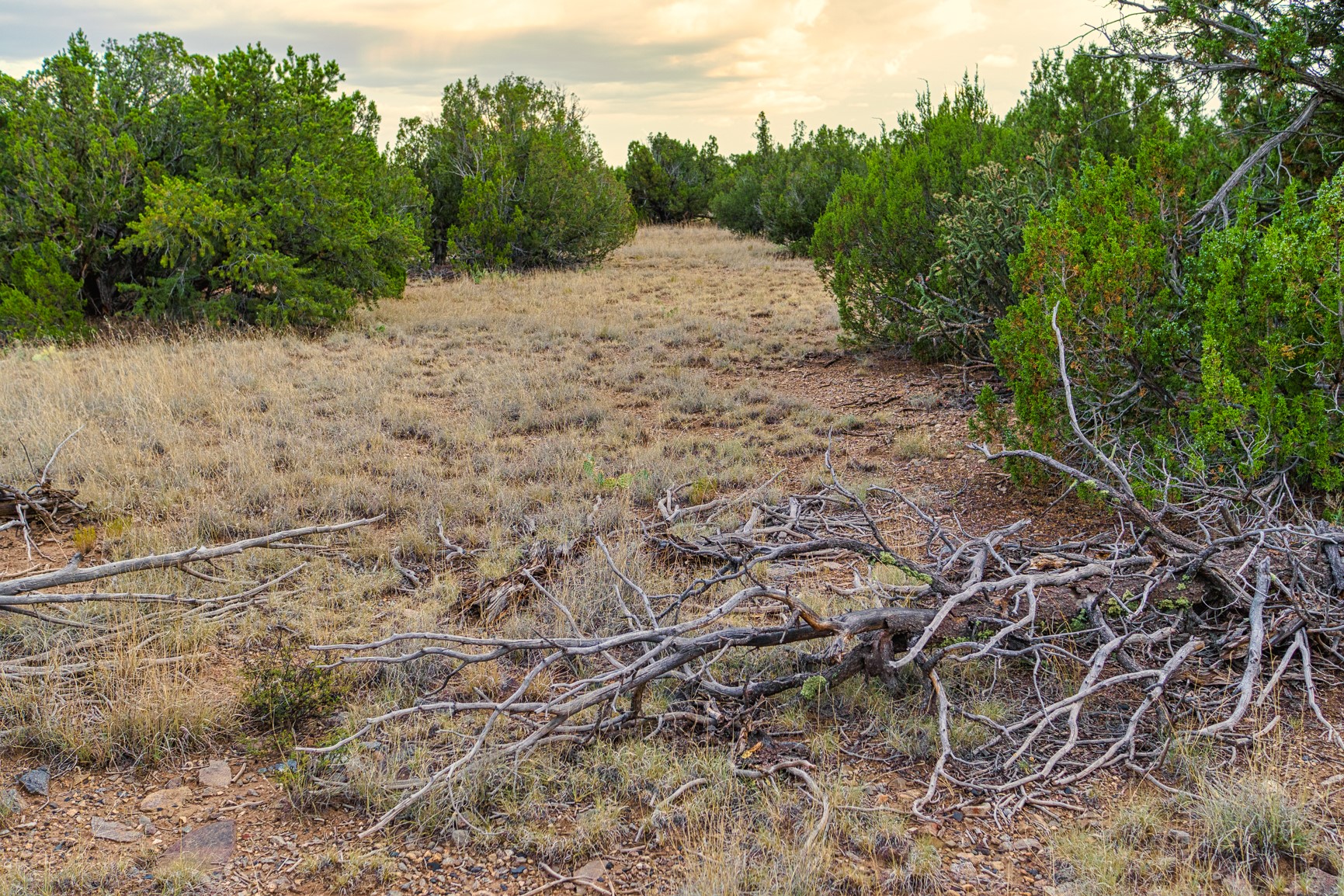 176 Wagon Trail Road Cerrillos, NM 87010 - Photo 25 of 35