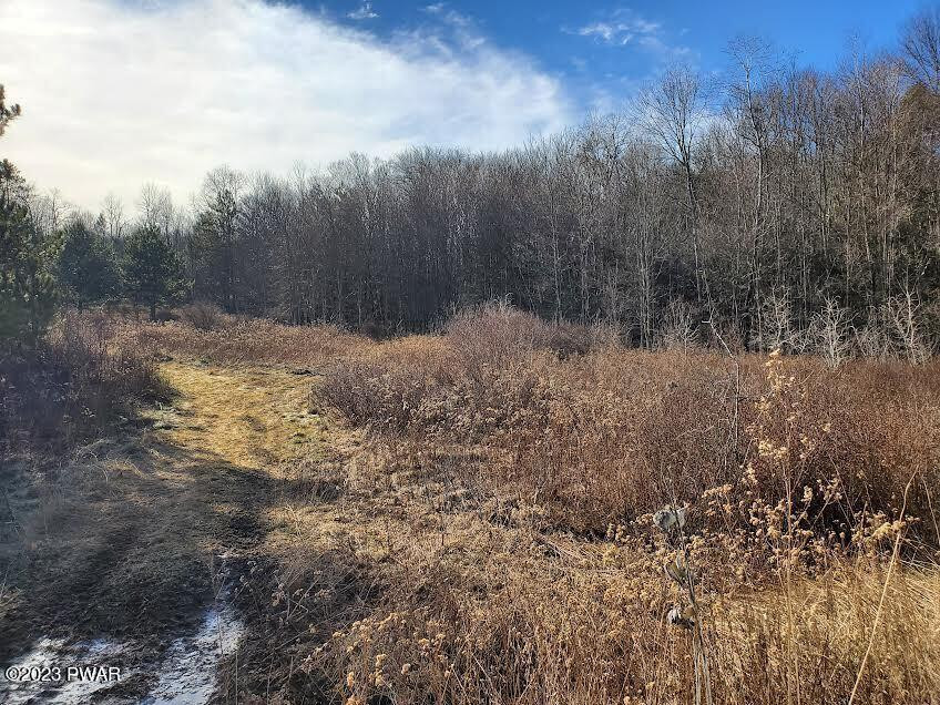 Lot 96-100 Long River Road Newfoundland, PA 18445 - Photo 1 of 3 1